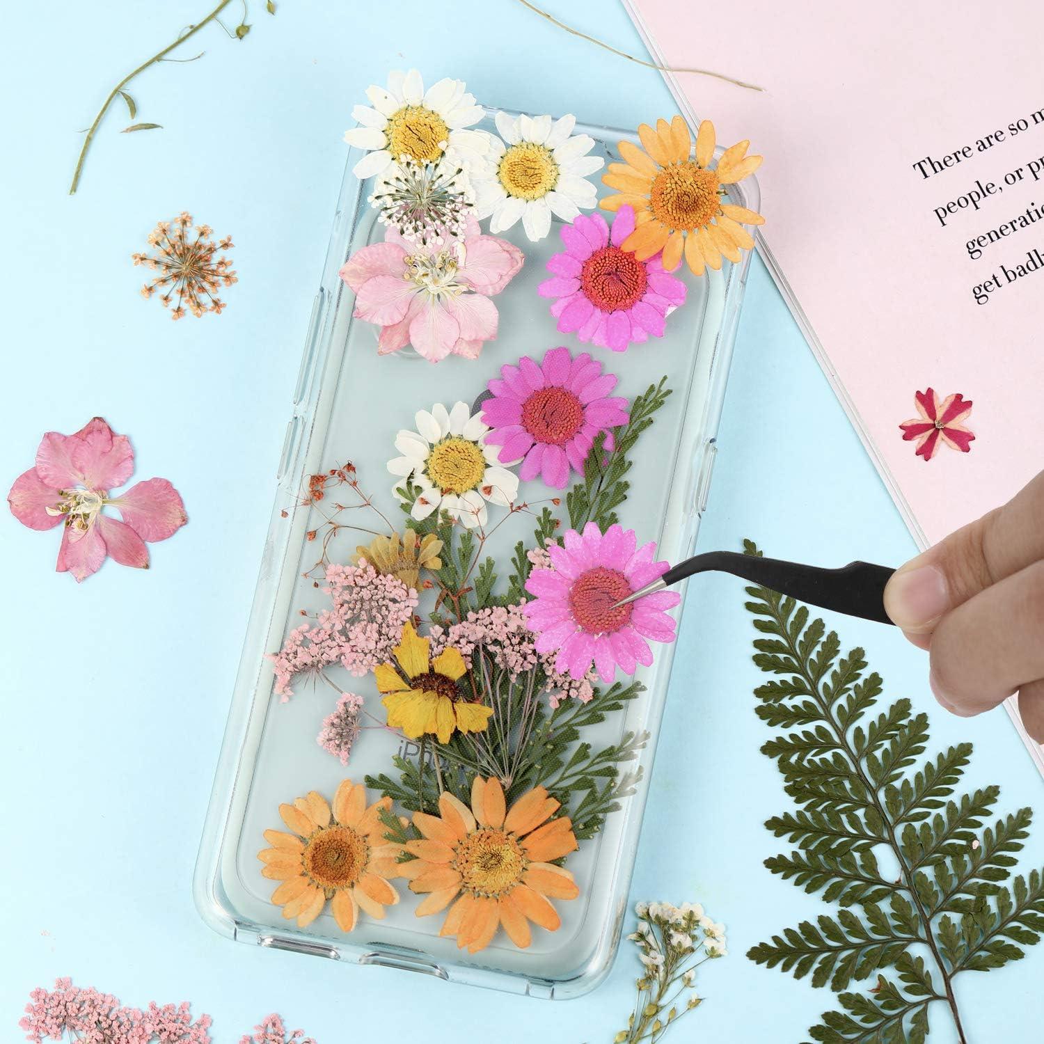 Real Pressed Dried Flowers and Leaves with Tweezers for Resin