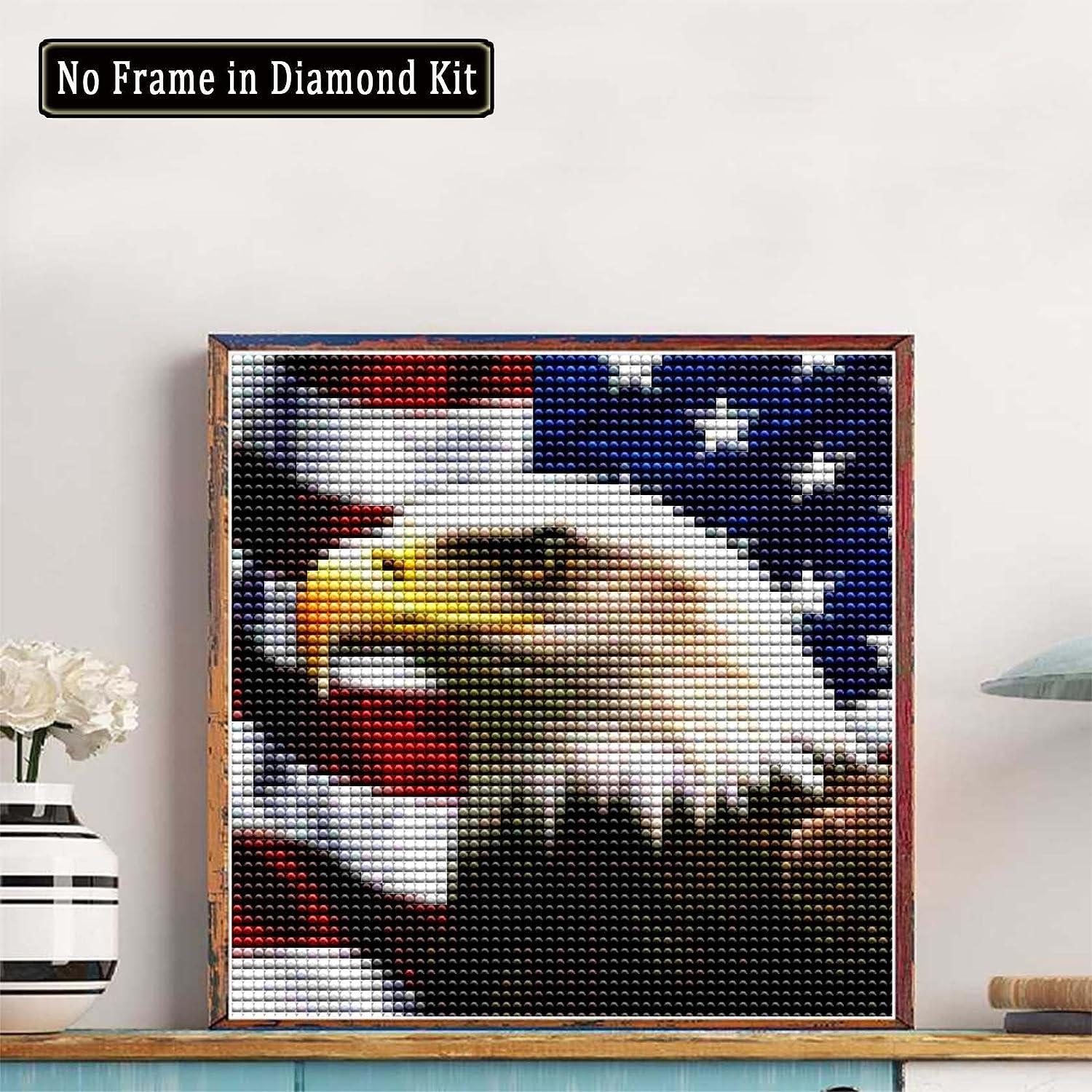 5D DIY Diamond Painting Kits for Adults Kids Eagle and Flag Full Drill  Embroider