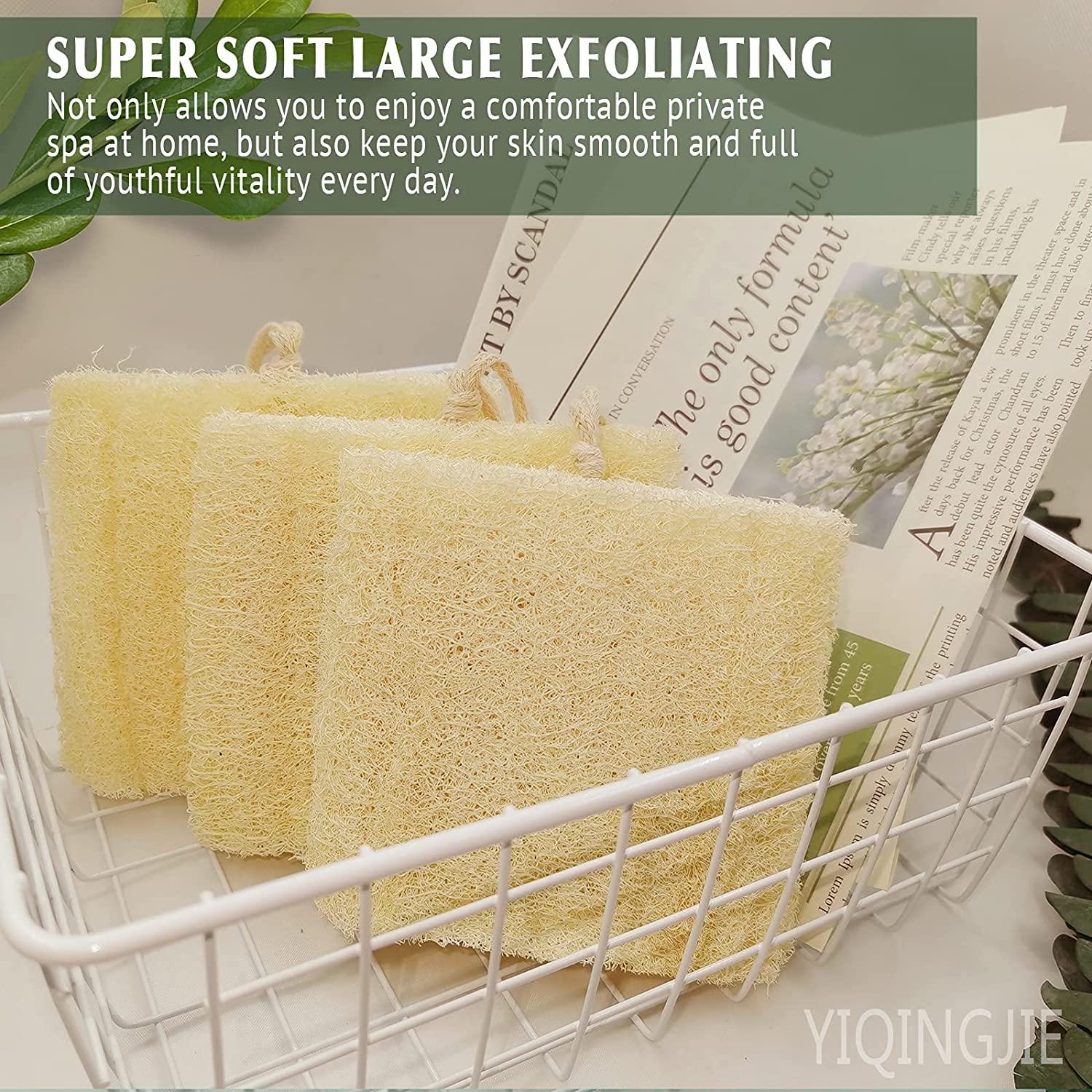 Loofah Sponge (2 Pack) Bath Accessories | 30 + Washes Bath Sponge with  Travel Soap Container | Natural Soap Sponges are Great Christmas Gifts |  Travel