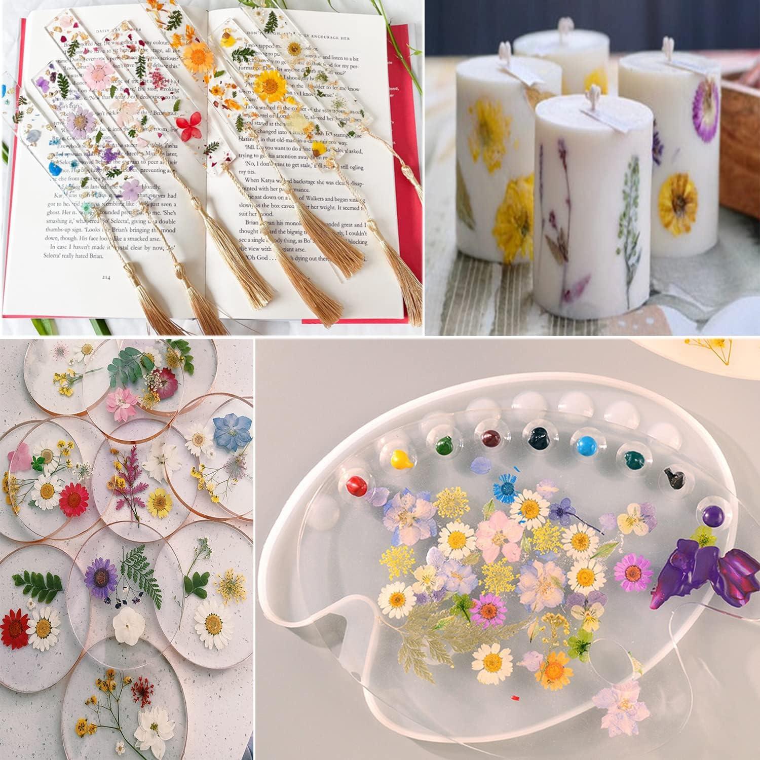 Resiners 100Pcs Dried Pressed Flowers & Quickly Microwave Flower Press Kit,  Flower Press for Plant DIY Arts, Resin Arts, Scrapbooking, Nail Craft 