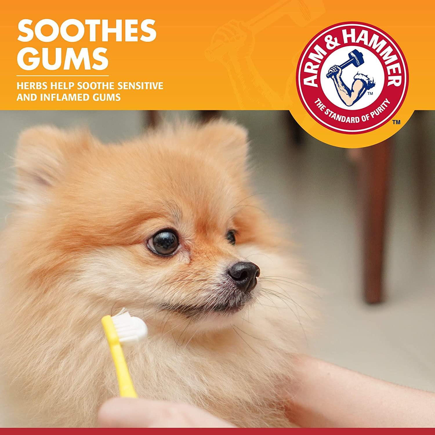 how can i soothe my dogs gums