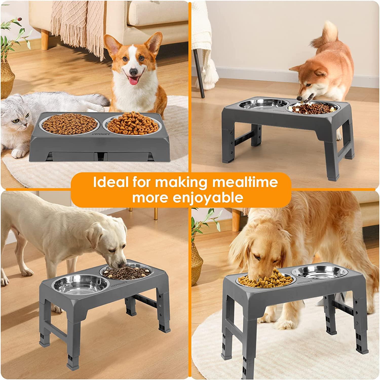 Elevated Dog Bowls, 4 Height Adjustable Raised Dog Bowl with 2