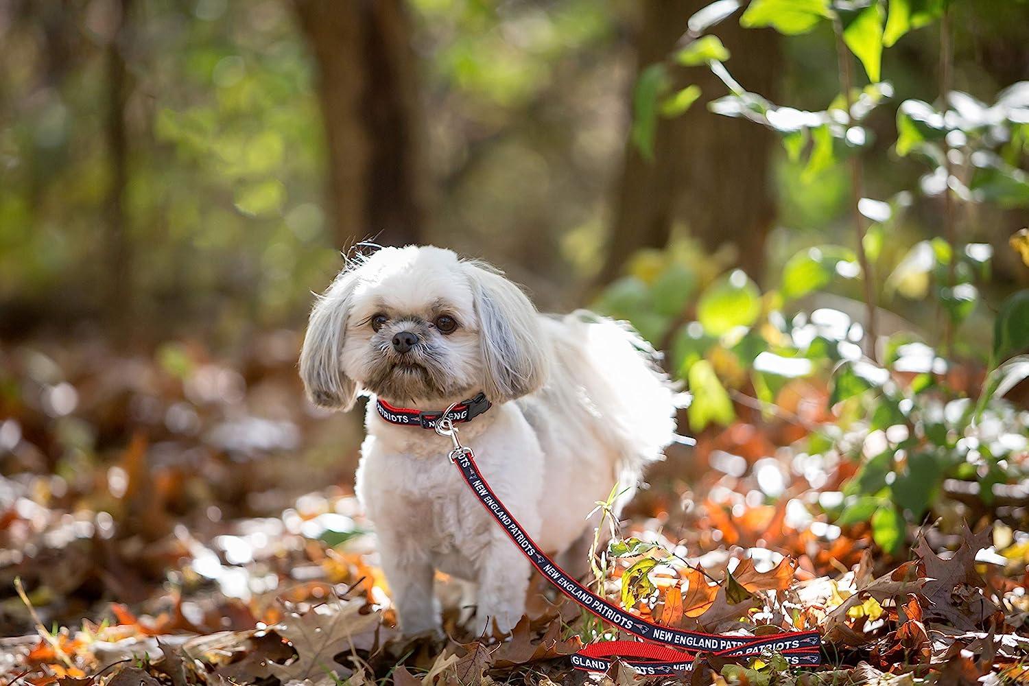 Pets First New York Giants NFL Cheerleader Dress  