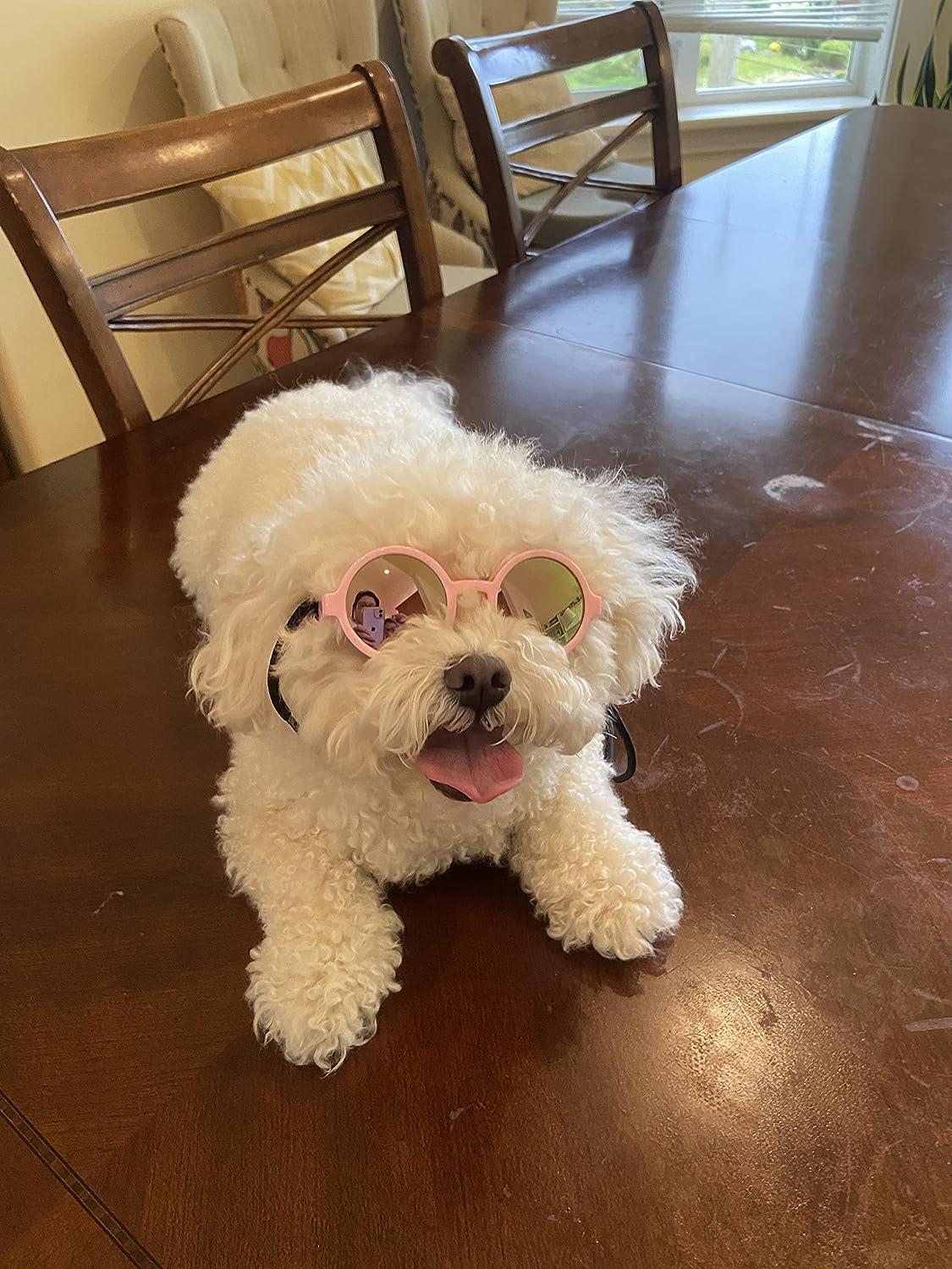 DOG MOM CAN SHAPED GLASSES – Haute Dawg Shop