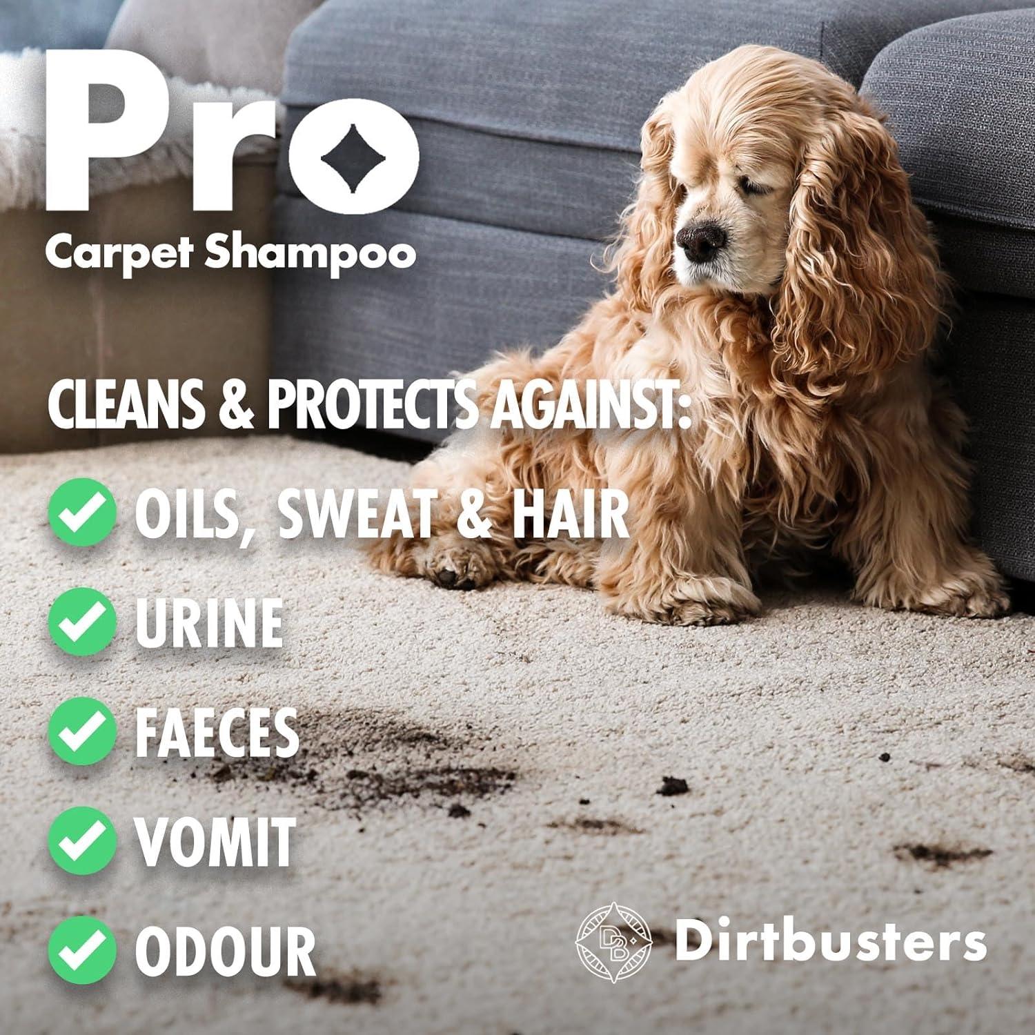 Dirtbusters Pet Carpet Cleaner Shampoo, Cleaning Solution For Odour, Urine  & Stains, Geranium & Chamomile (5L) : : Pet Supplies