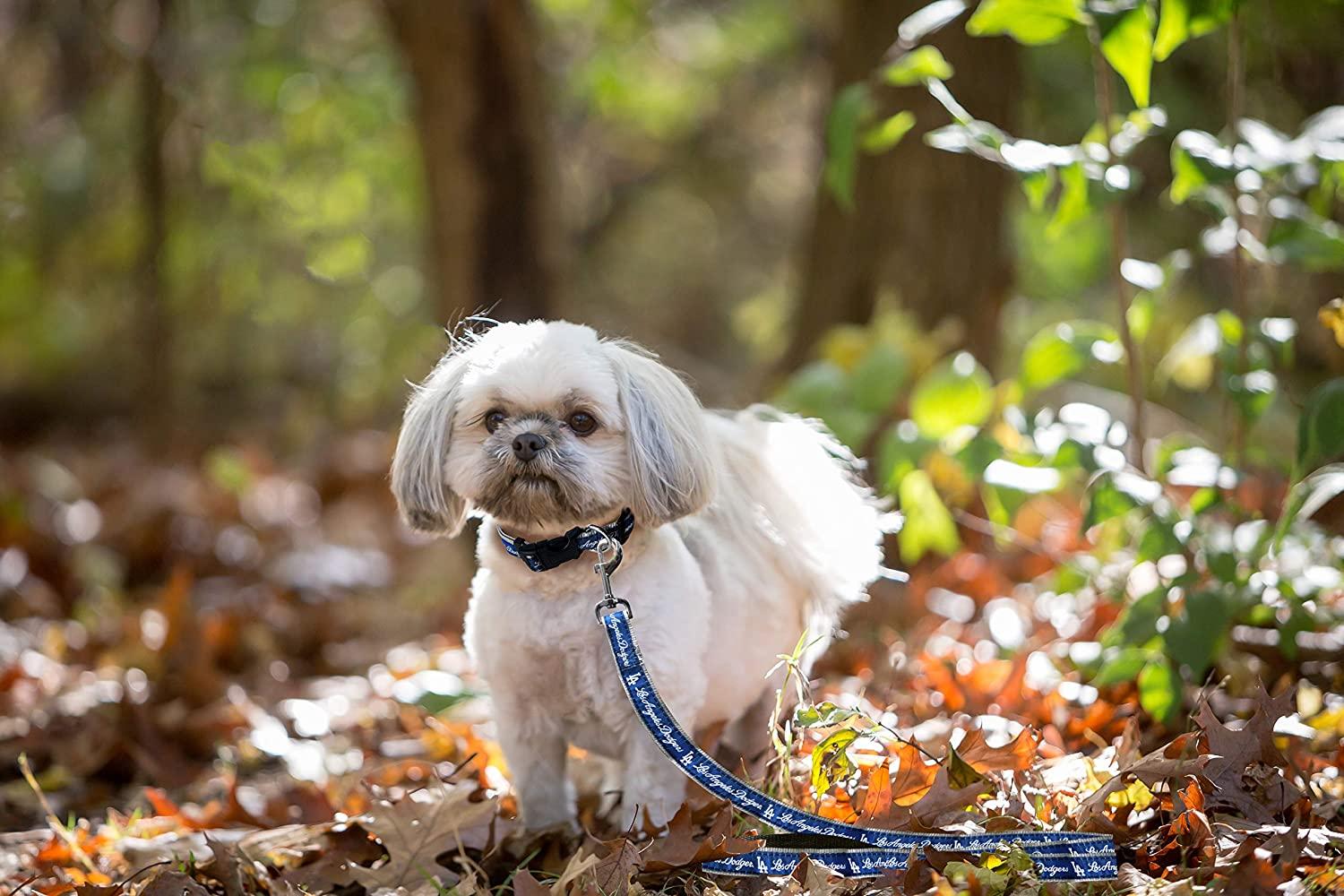 Los Angeles Dodgers  Pet Products at Discount Pet Deals