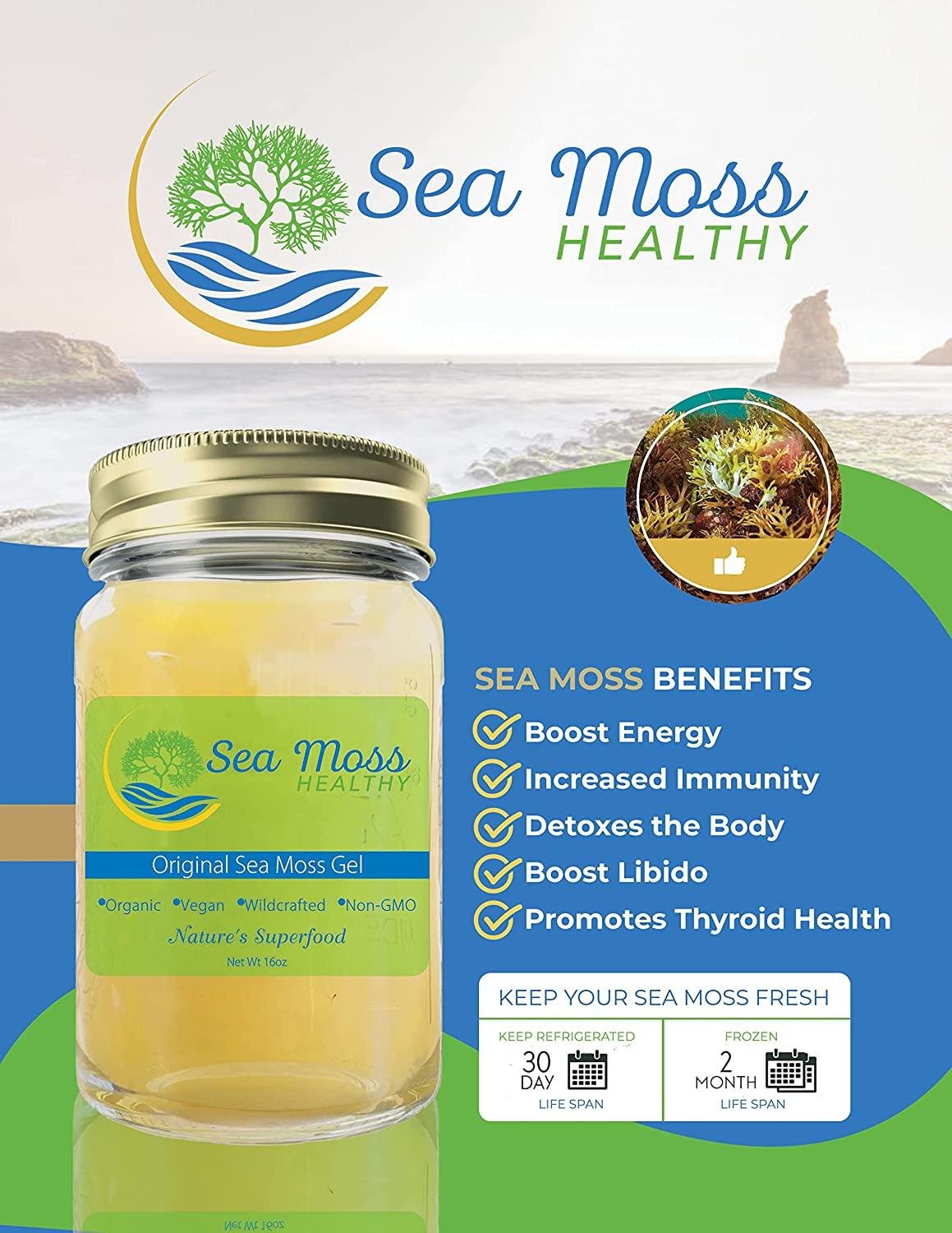 100% Natural Jamaican Irish Sea Moss (16oz) - Non GMO No Preservatives,  Organic and Wildcrafted - Improve Skin Health - Boost Immune System
