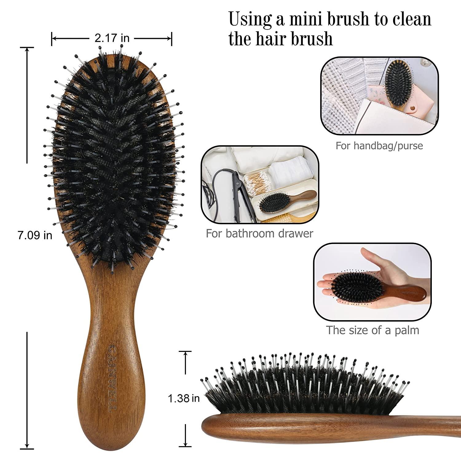 Arthaxi Mini Hair Brush for Purse Pocket Hair Brush with Mirror for Girls  Small Portable Mirror with Brush Travel Size Folding Hairbrush for Backpack  Green