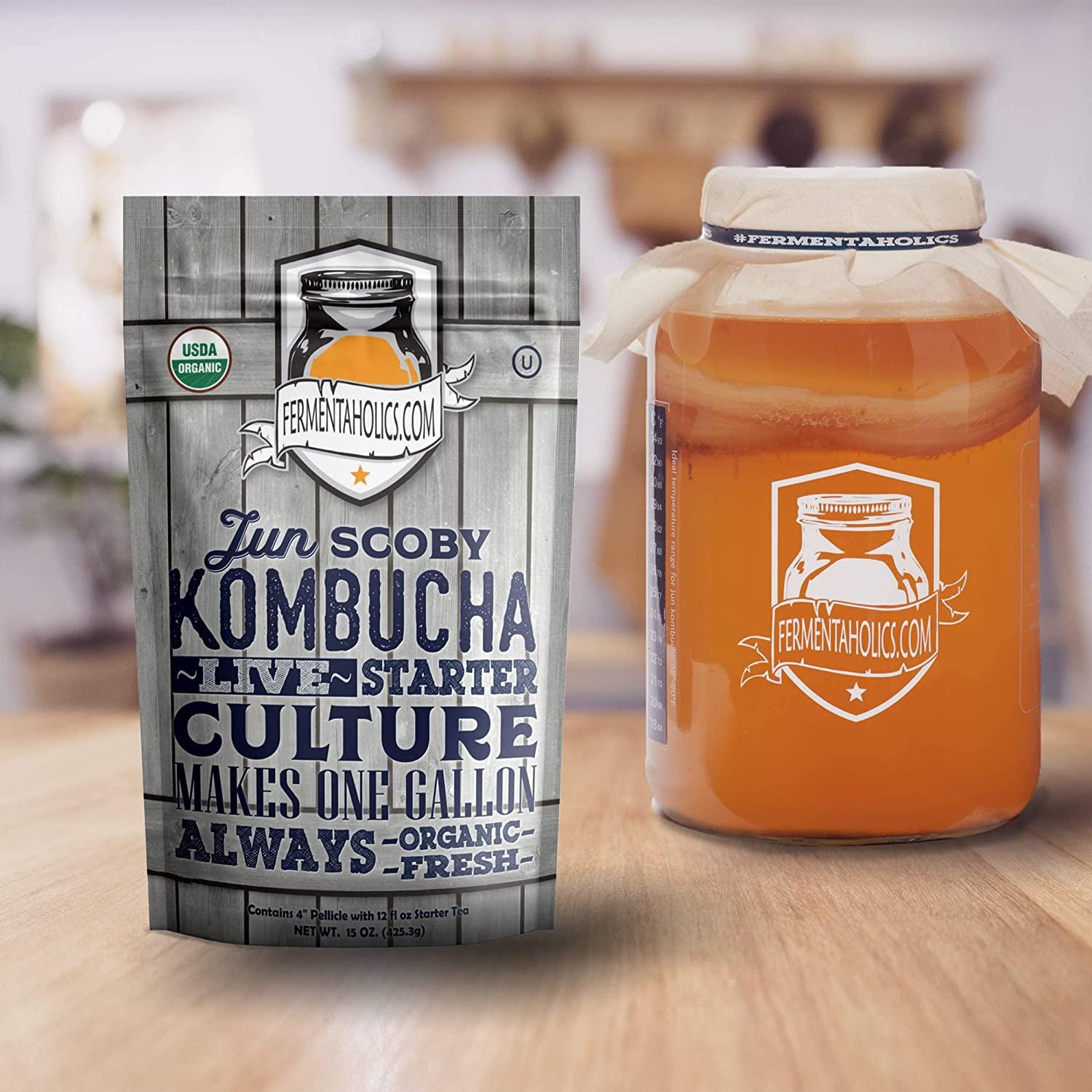 The Best CERTIFIED Organic Kombucha Scoby XL Starter Tea Probiotic  instruction