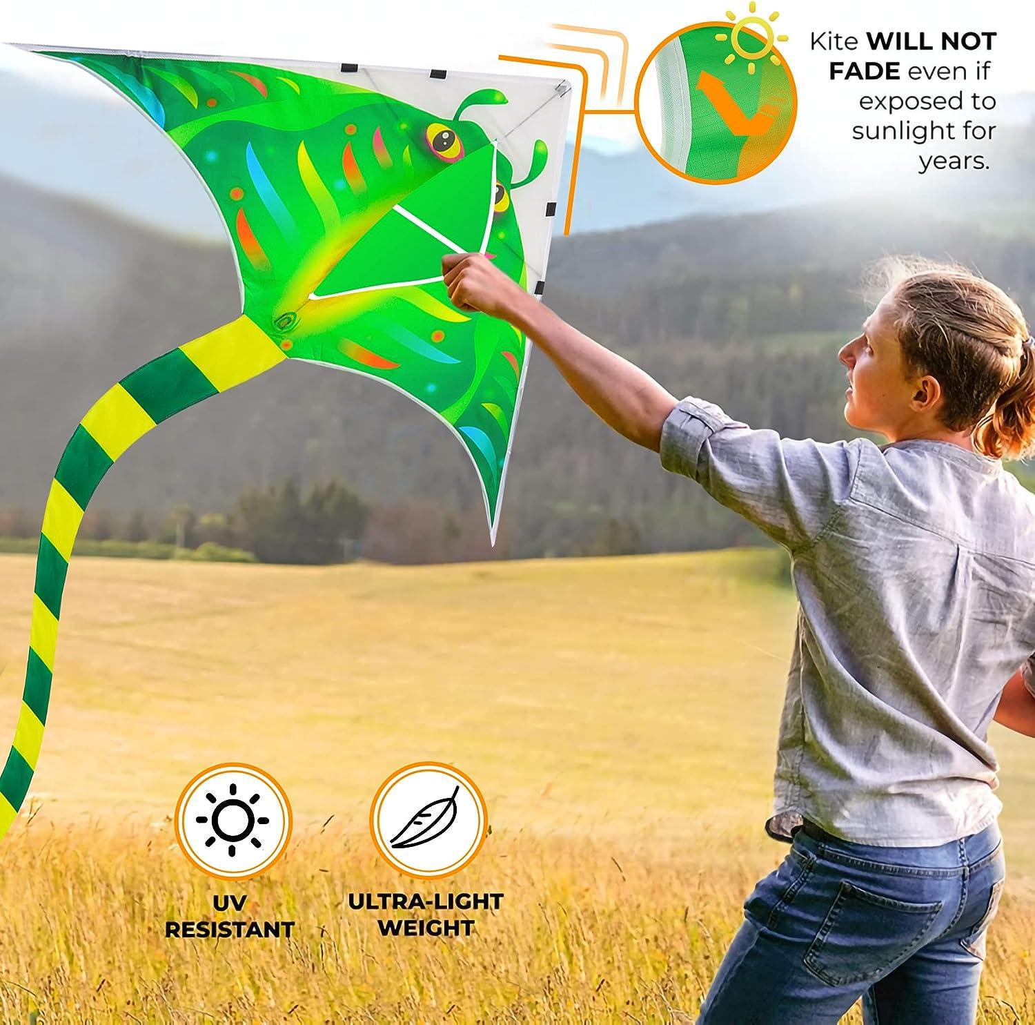Fishing Rod Kite,For Kids and Adults,Easy to Fly,Excellent Fabric