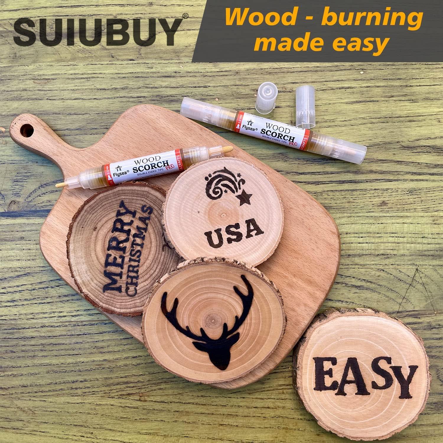 FocuStar Wood Burning Pen Tool - Scorch Pen Marker for Crafting & Stencil  Wood Burning, Chemical Wood Burner Set with Oblique Tip and Bullet Tip