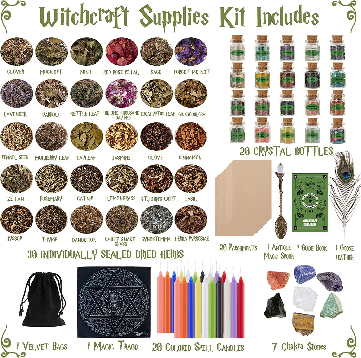 Witchcraft Supplies Herbs - 30 Bottles Dried Herbs Kit for Beginners -  Altar Supplies Healing Herbal Natural Herbs Crystal Spoon for Wicca, Pagan