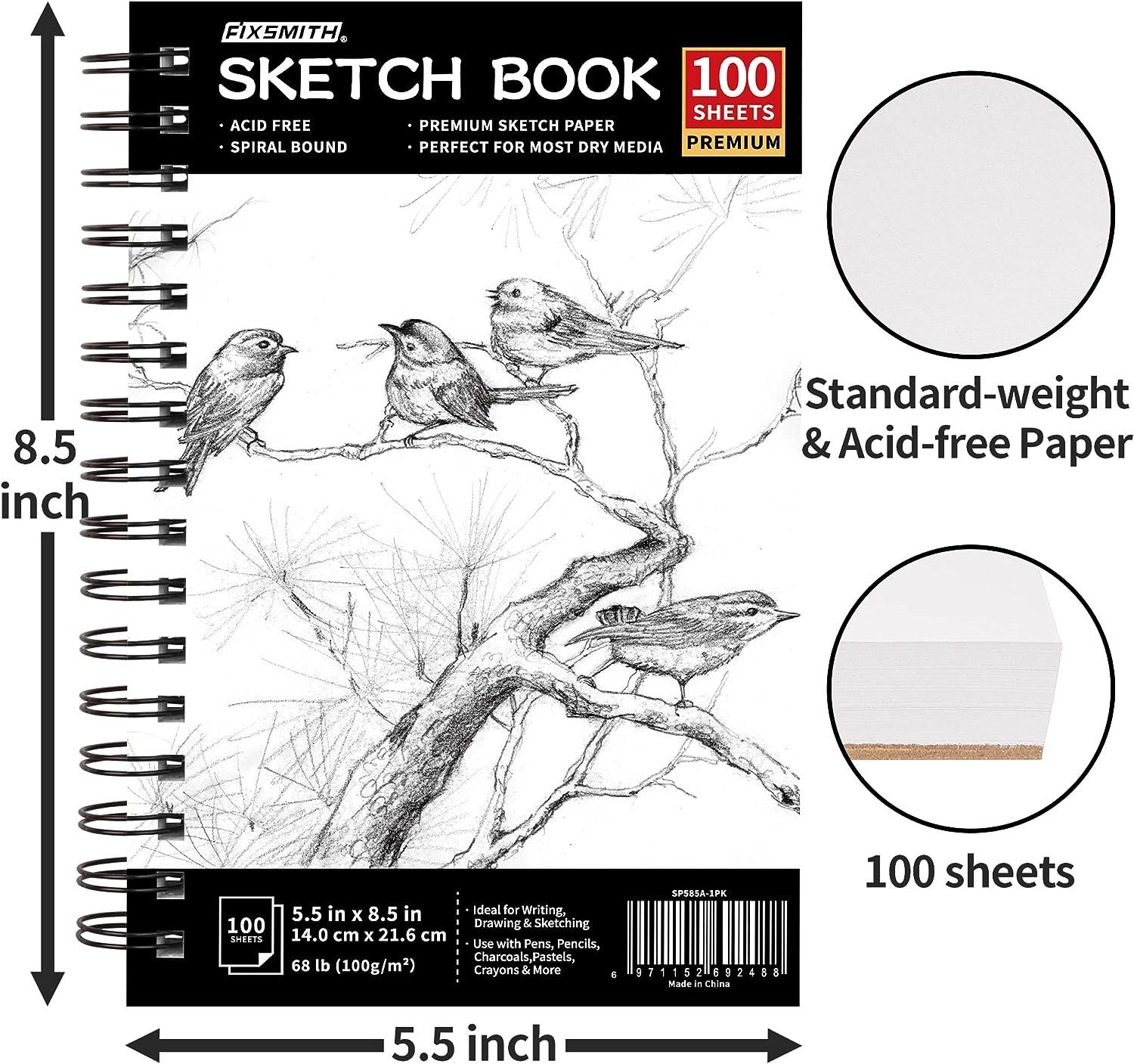 9 x 12 Sketch Book, Top Spiral Bound Sketch Pad, 2 Packs 100-Sheets Each  (68lb/100gsm), Acid Free Art Sketchbook Artistic Drawing Painting Writing