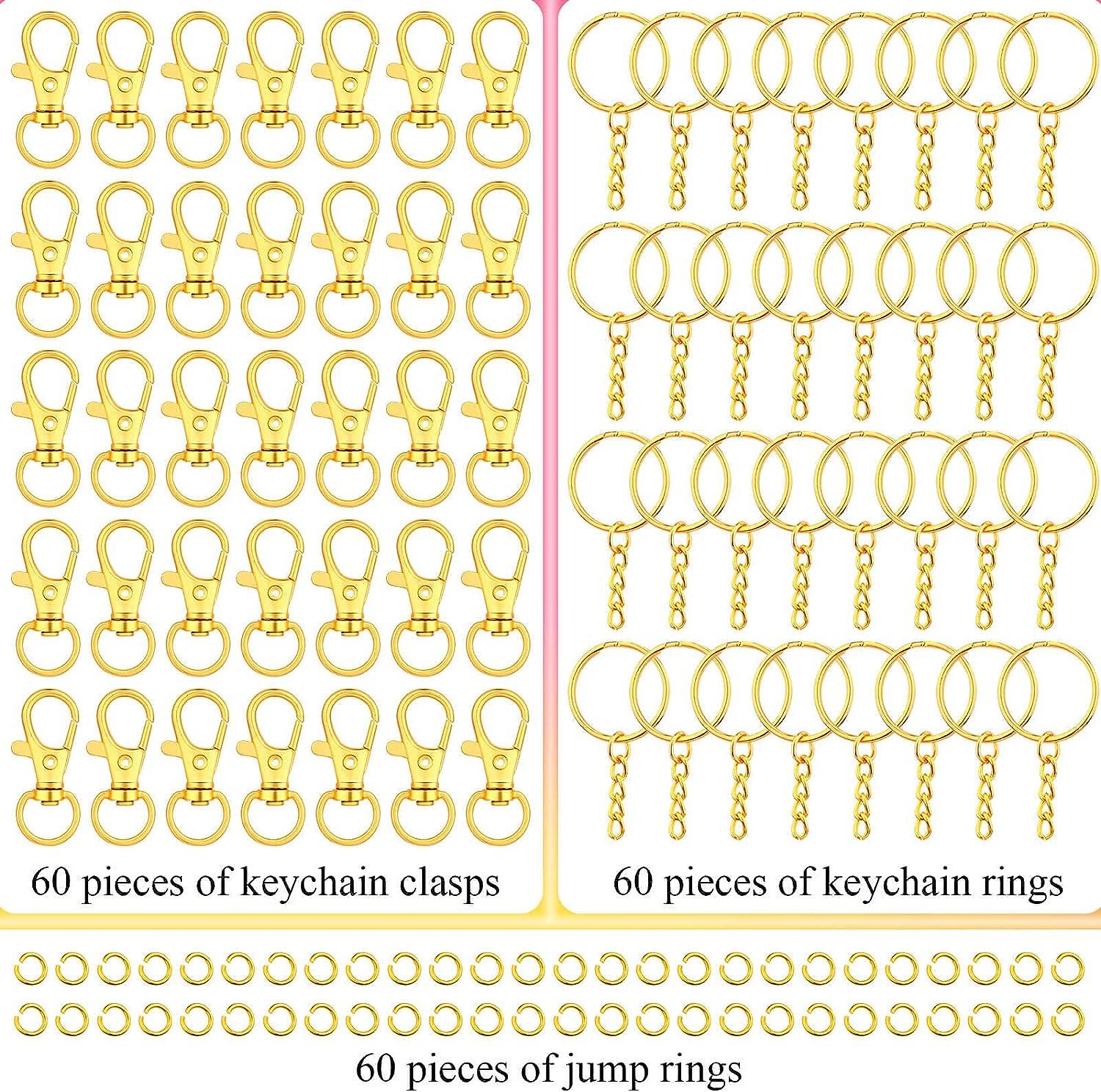Gold Keychain Rings for Craft Paxcoo 100pcs Keychain Hardware Kit Includes  50Pcs Key Chain Hooks and 50pcs Key Rings Bulk Keychain Making Supplies for  Resin Craft Acrylic Blanks