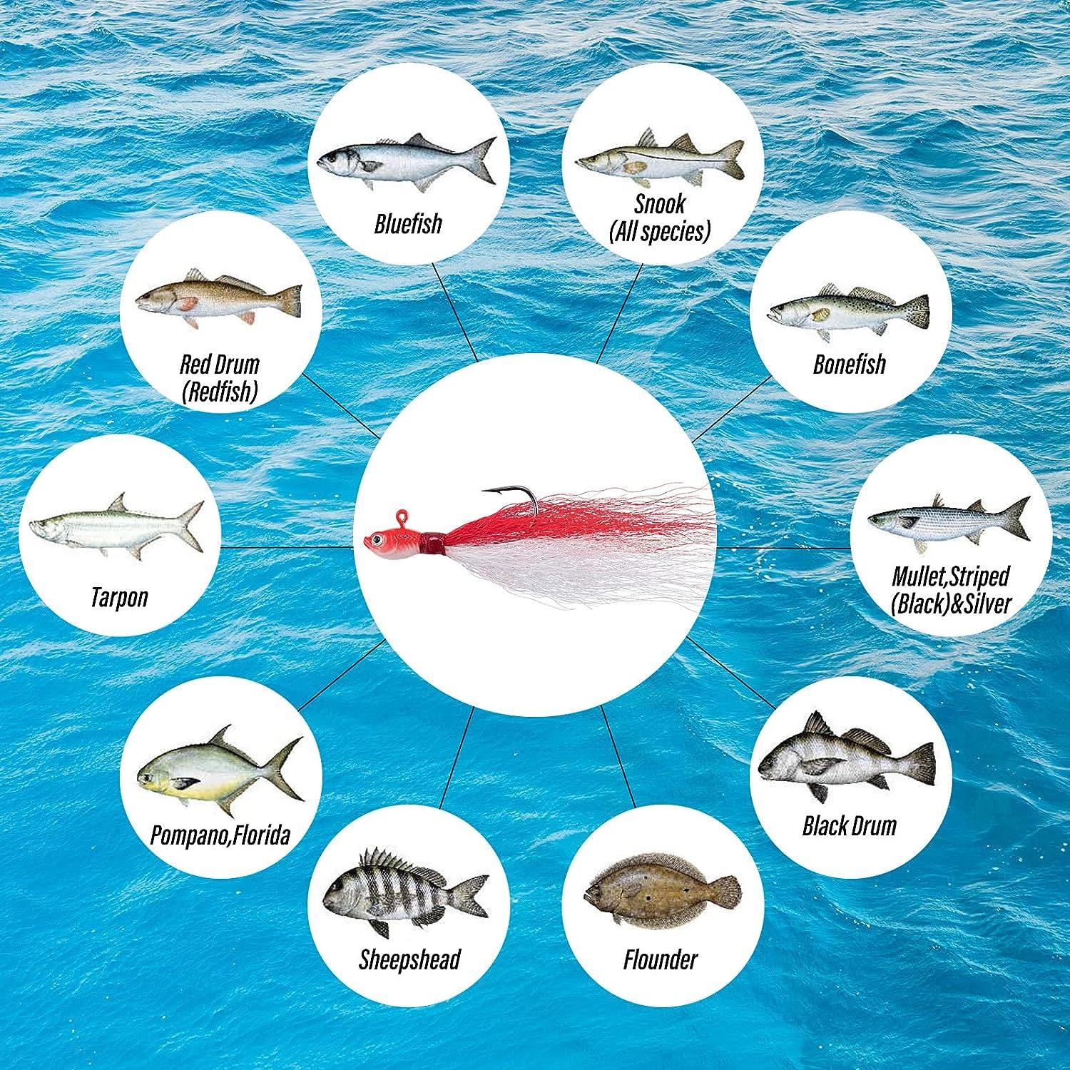 Dr.Fish Surf Fishing Tackle Kit Saltwater Fishing Tackle with Box, 269  Pieces Saltwater Lures Set Bucktail Jigs Pompano Rig Walking Bait Pier Surf  Casting Sea Tackle Kits Lead Pyramid Sinkers
