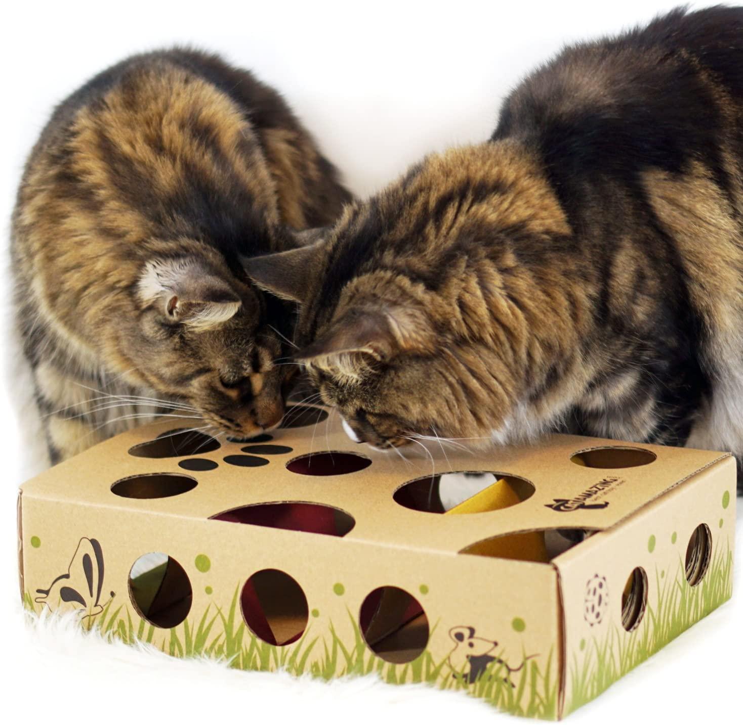 Interactive Cat Toy Cat Puzzle Feeder Cat Box With Balls Hide and Seek Toy Treat  Maze Toy Pet Balls Hunt Box 