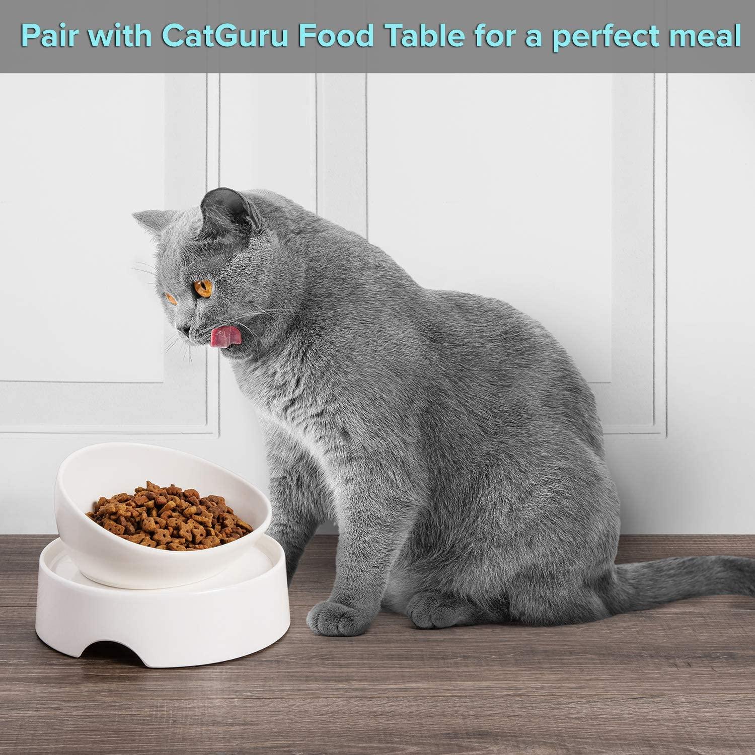  CatGuru Cat Food Mat, Small & Large Pet Food Mat, 100