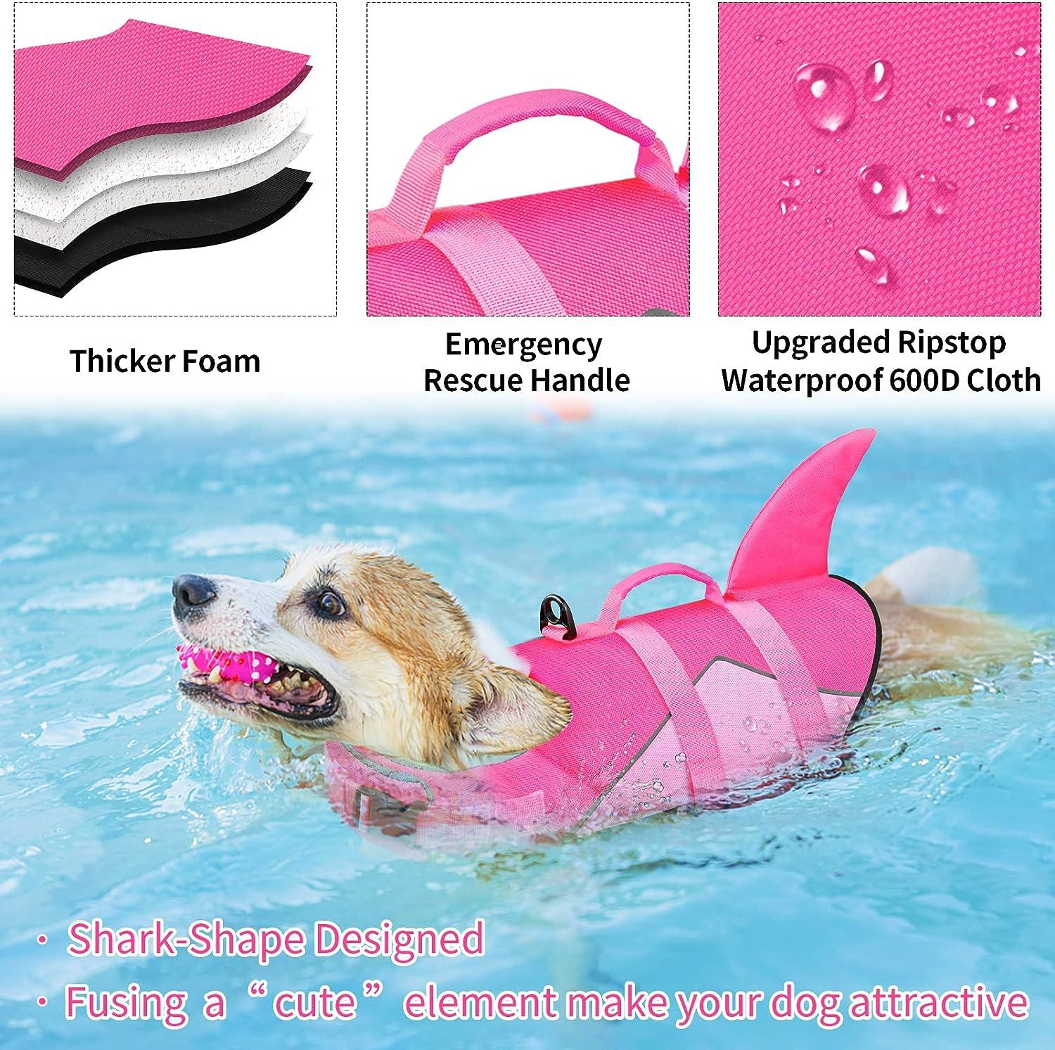 The Best Dog Life Jackets To Keep Your Dog Safe - DodoWell - The Dodo