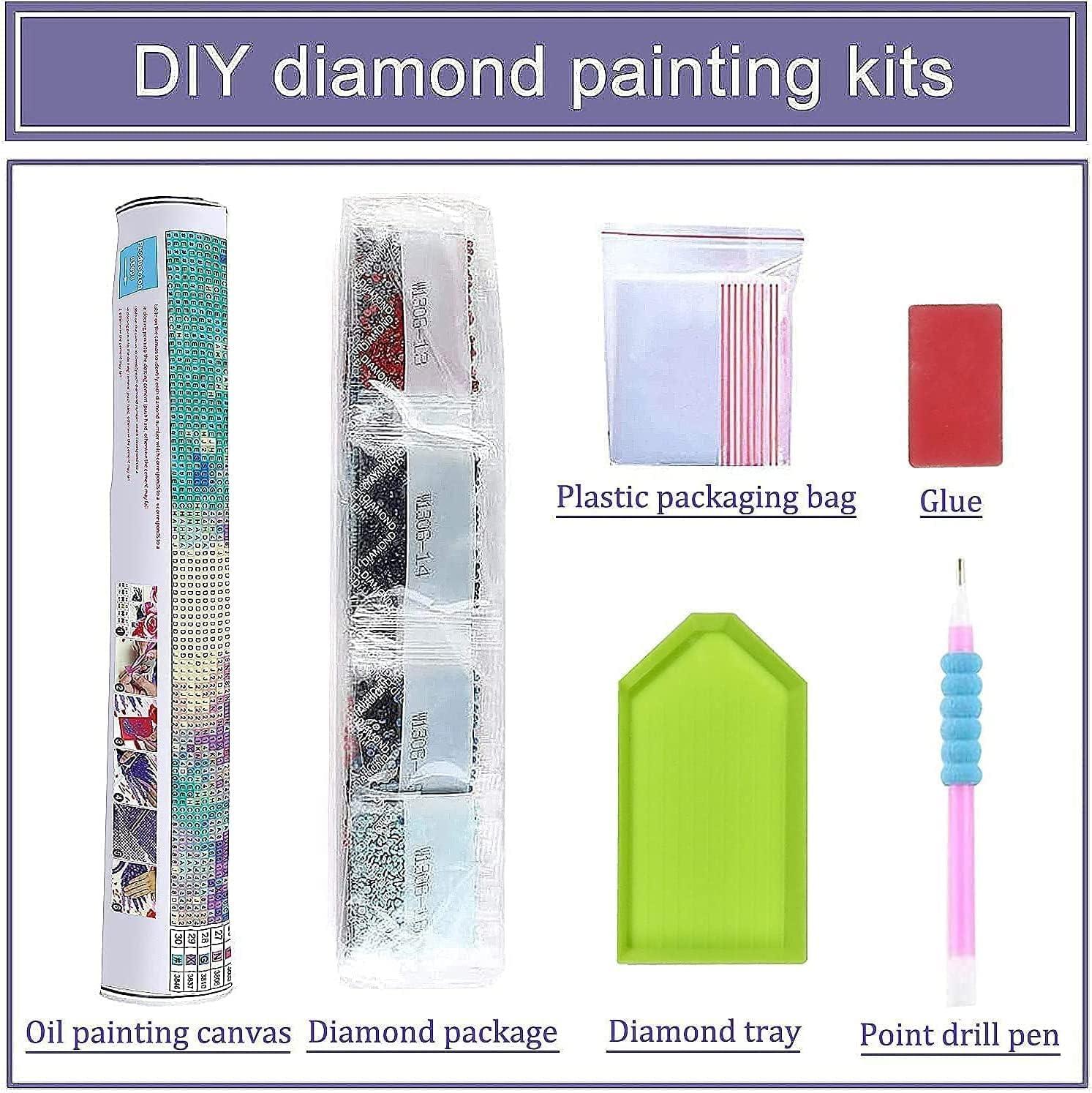 2 Pack Diamond Painting Kits for Adults - Diamond Art Kits with Accessories & Tools,Flower 5D Paintings with Diamond Dots Full Drill Gem Art and