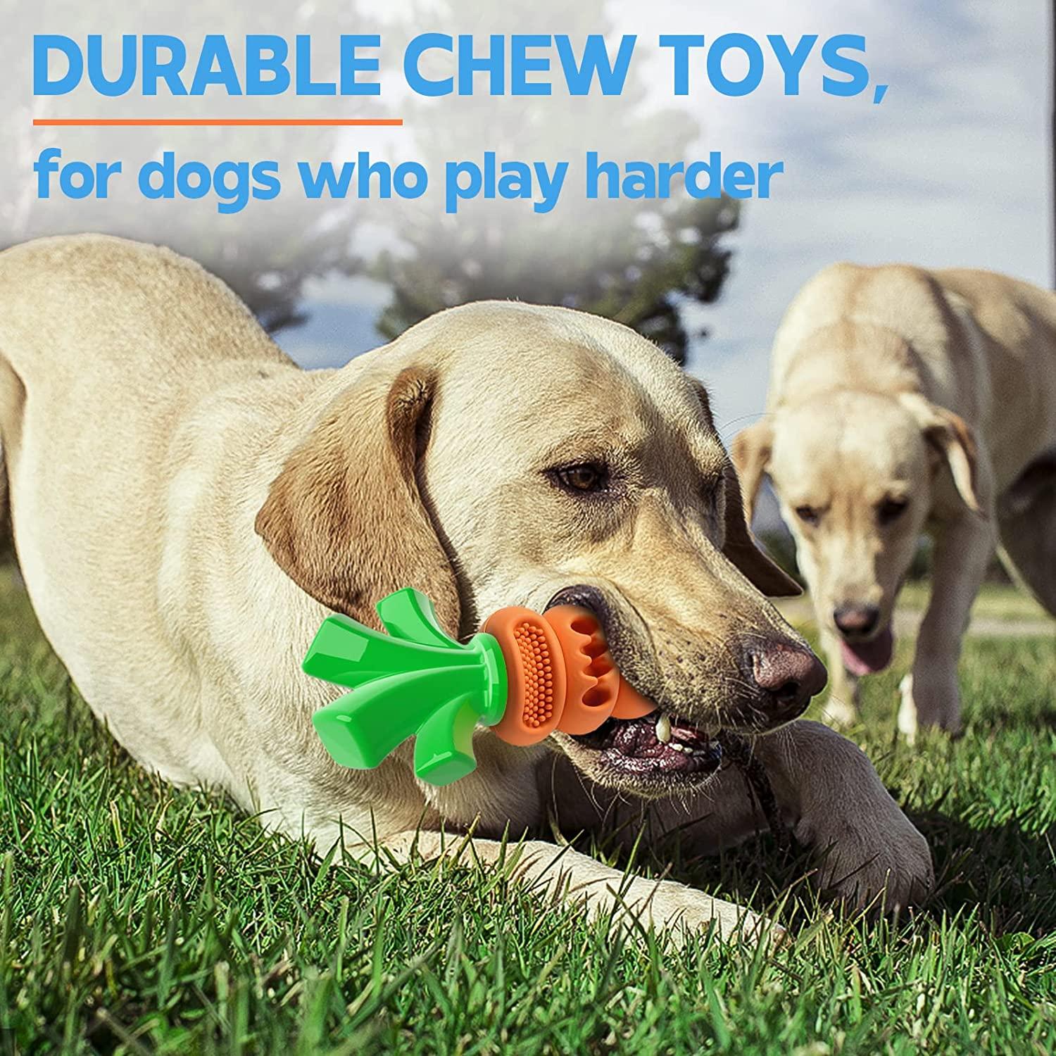 tome dog toys for aggressive chewers - shoe dog toy for small and