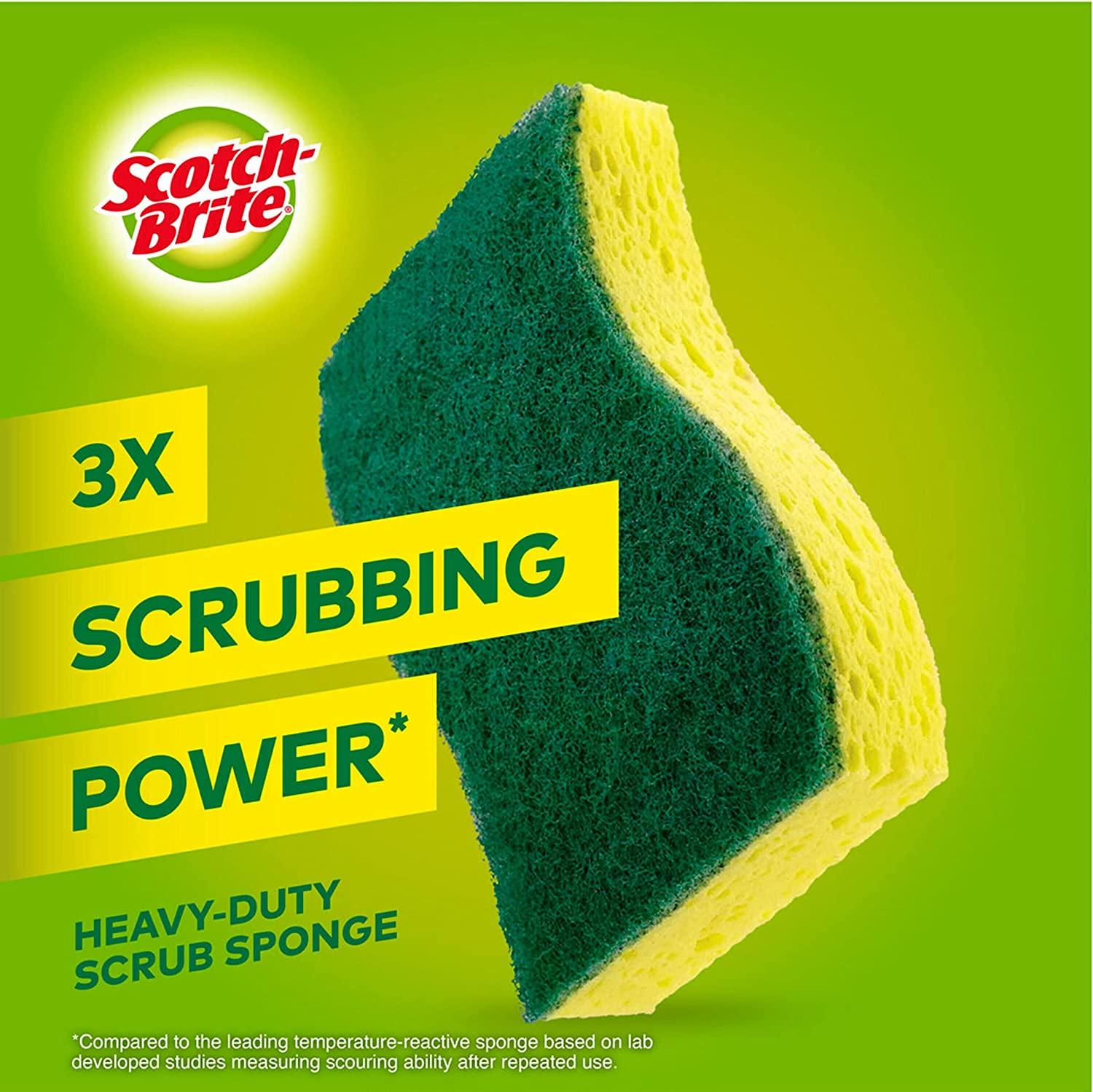 Scotch-Brite Heavy Duty Scrub Sponges, Sponges for Cleaning Kitchen and  Household, Heavy Duty Sponges Safe for Non-Coated Cookware, 6 Scrubbing
