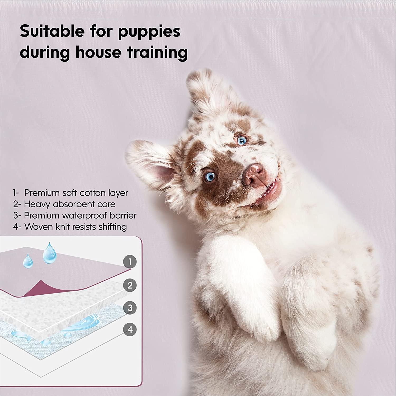  WAVE Washable Reusable Incontinence Bed Pads, Heavy Absorbency  Waterproof Large 34 x 36 Pads For Kids, Adults, Elderly, Pets, Cats,  Bunny, Sofa, Couch, Floor, Made in The USA - 34W x