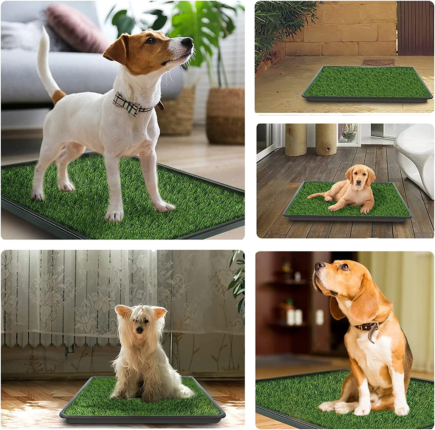 NOTOYAYA 2 Pcs Artificial Grass Dog Training Pad Leak-Proof Puppy