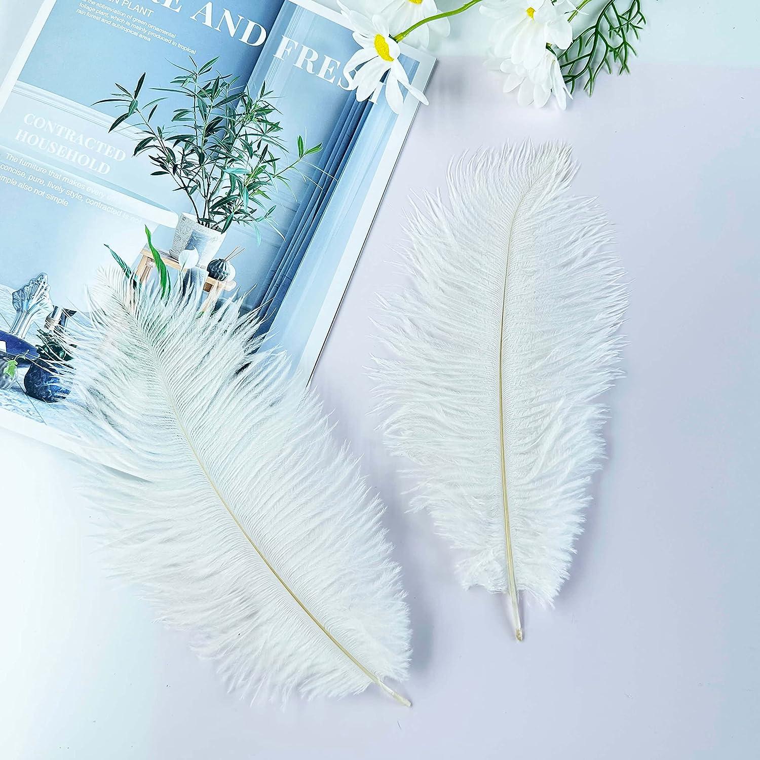  20pcs Peacock Feathers for Decoration 25-30CM Natural