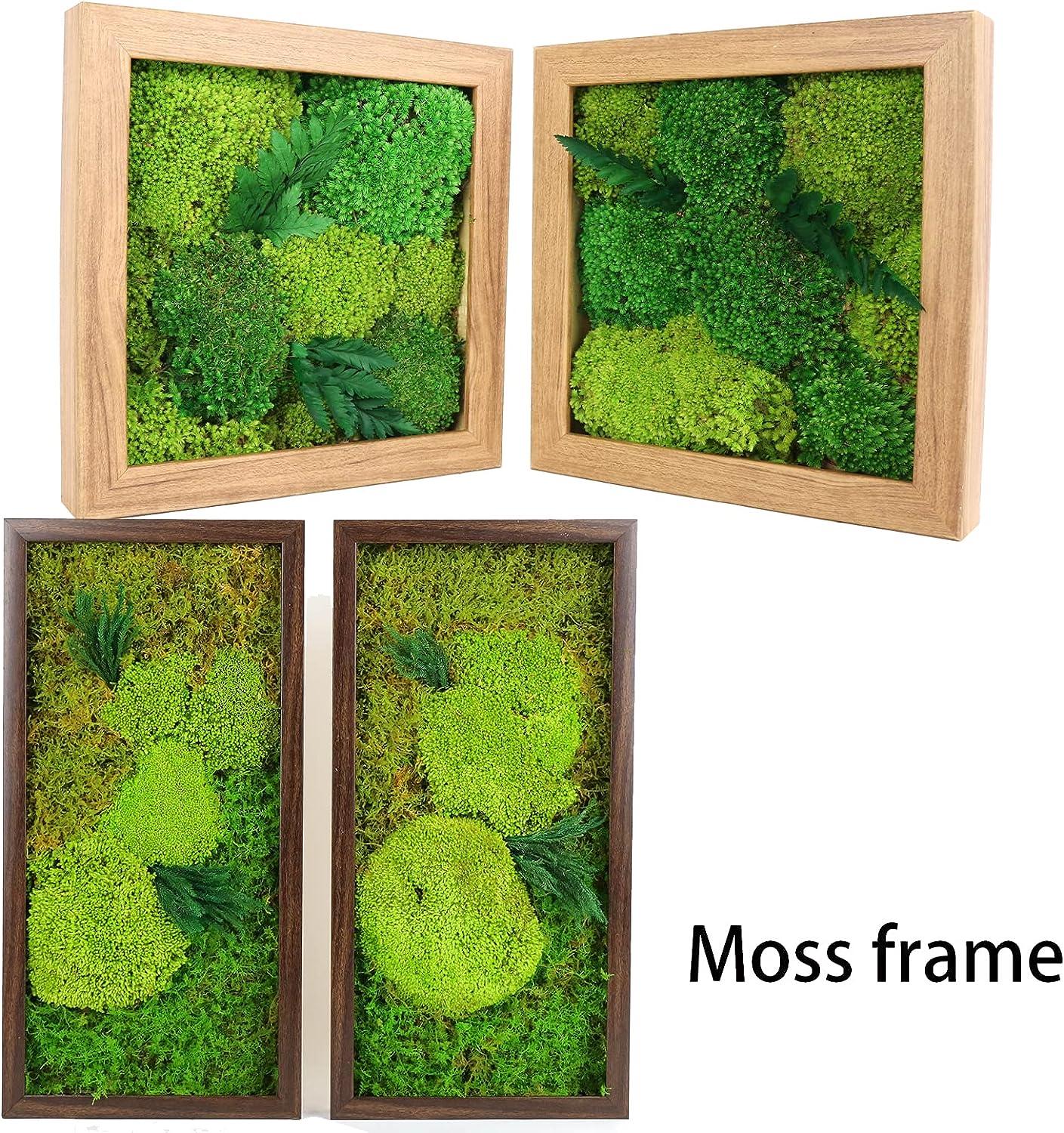 3 Sq. Ft Preserved Pole Moss Bulk Green Moss Crafts 3 Colors Natural Moss  Decora