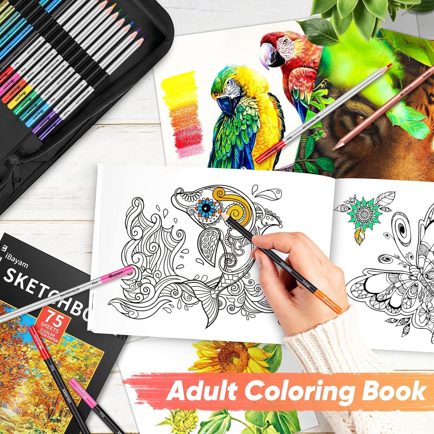 iBayam Art Kit Art Supplies Drawing Kits Arts and Crafts for Kids