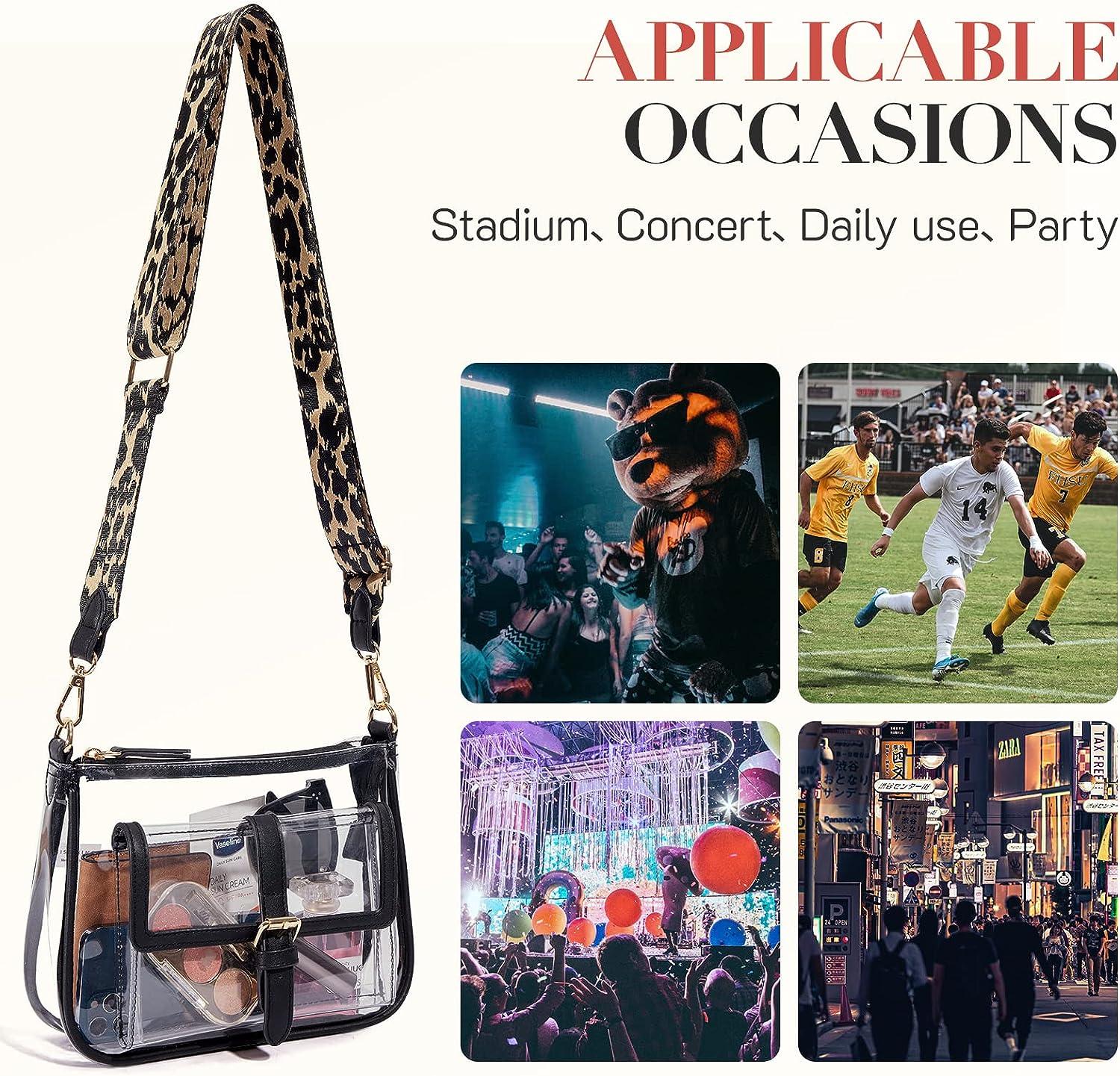 14 Best Stadium-Approved Clear Bags for Concerts in 2023