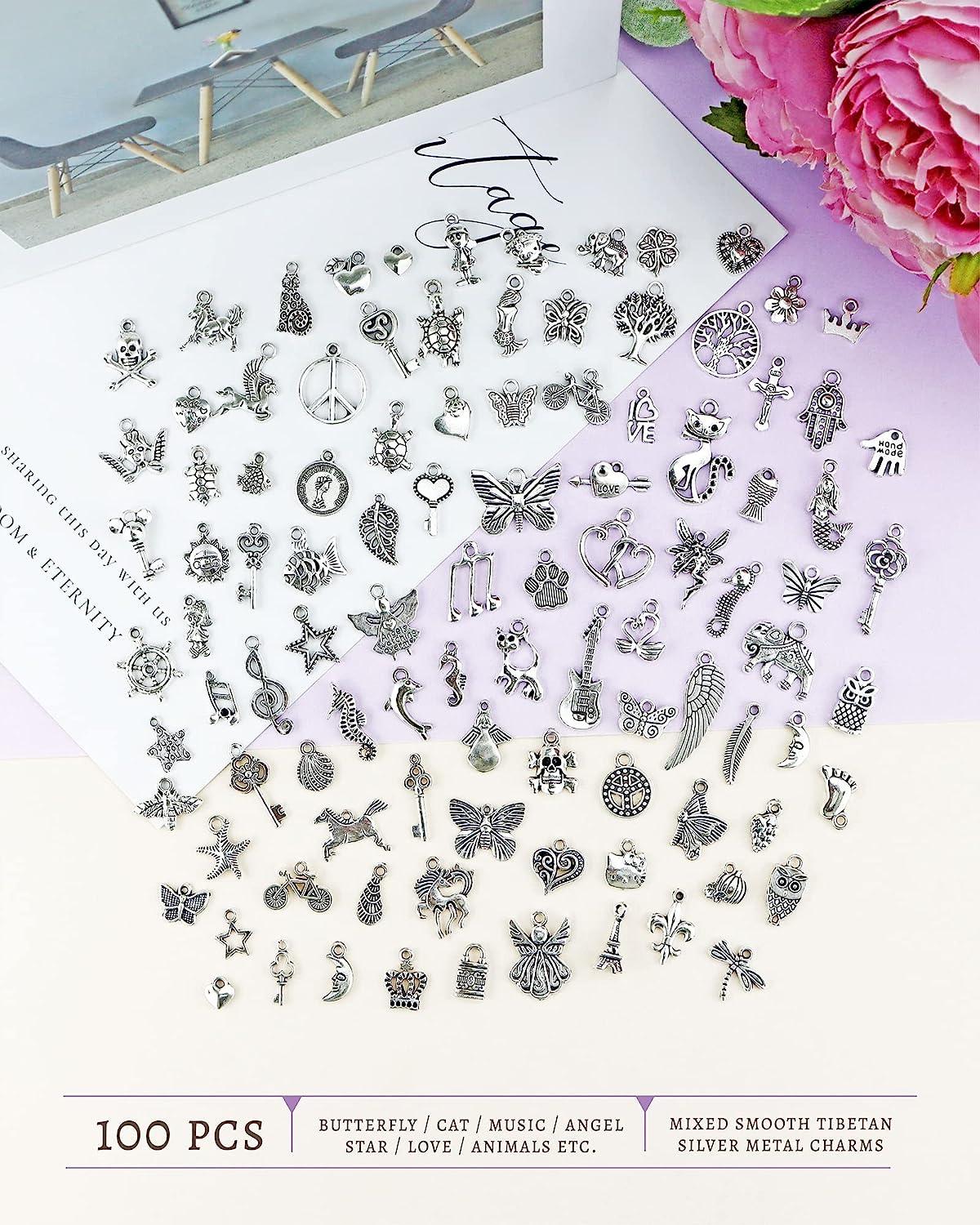 JIALEEY 300 PCS Wholesale Bulk Lots Jewelry Making Charms Mixed Smooth  Tibetan Silver Alloy Charms Pendants DIY for Bracelet Necklace Jewelry  Making and Crafting