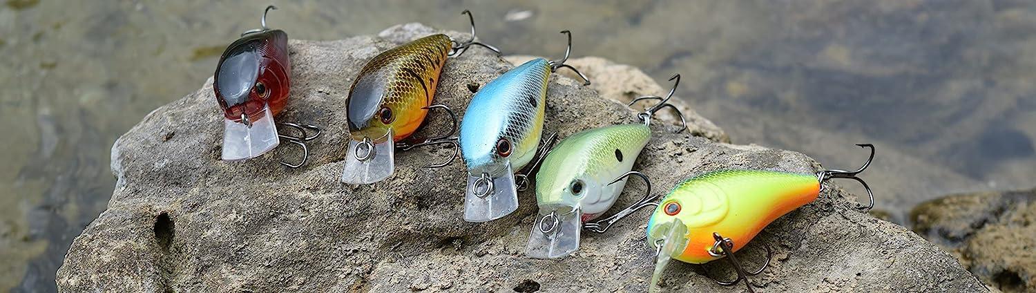 Tackle HD 2-Pack Square Bill Crankbait, 2.75 Lipped Rattle Crankbaits with Fishing  Hooks, Top Water Fishing Lures for Crappie, Walleye, Perch, or Bass Fishing  Red Craw