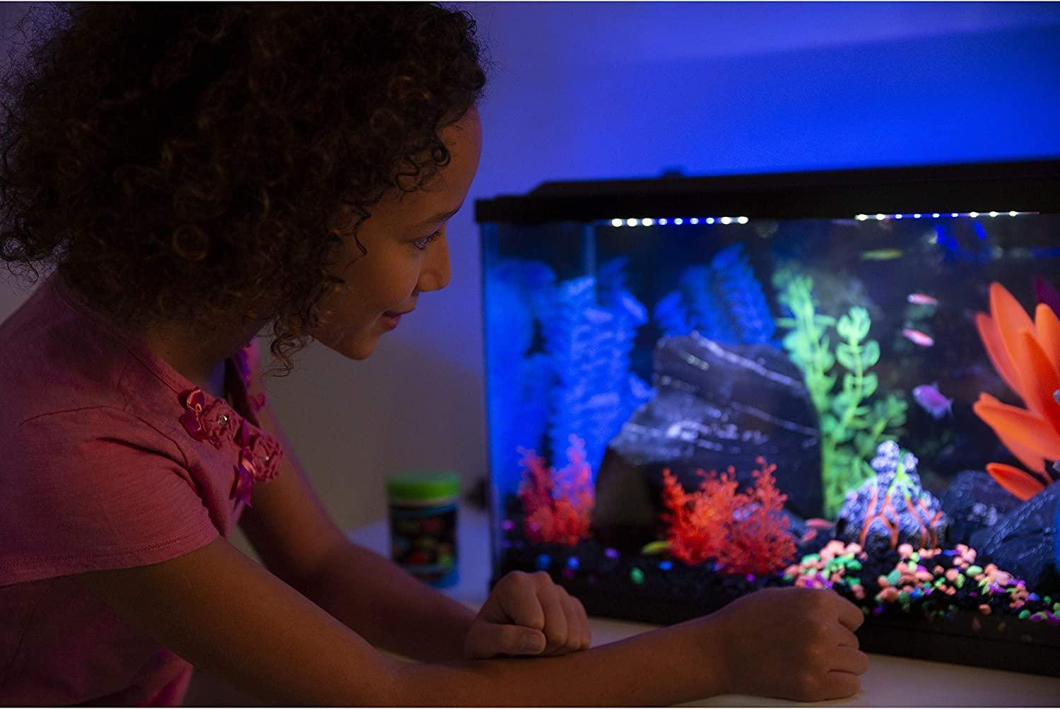 GloFish Aquarium Gravel Fluorescent Colors Complements GloFish Tanks  5-Pound Bag