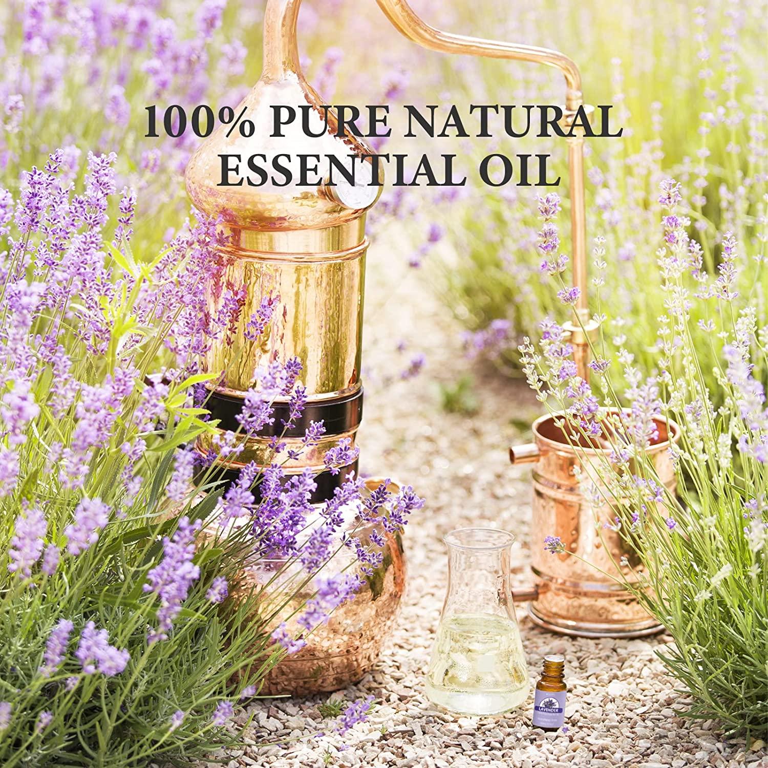 Lavender Essential Oil 6 Set
