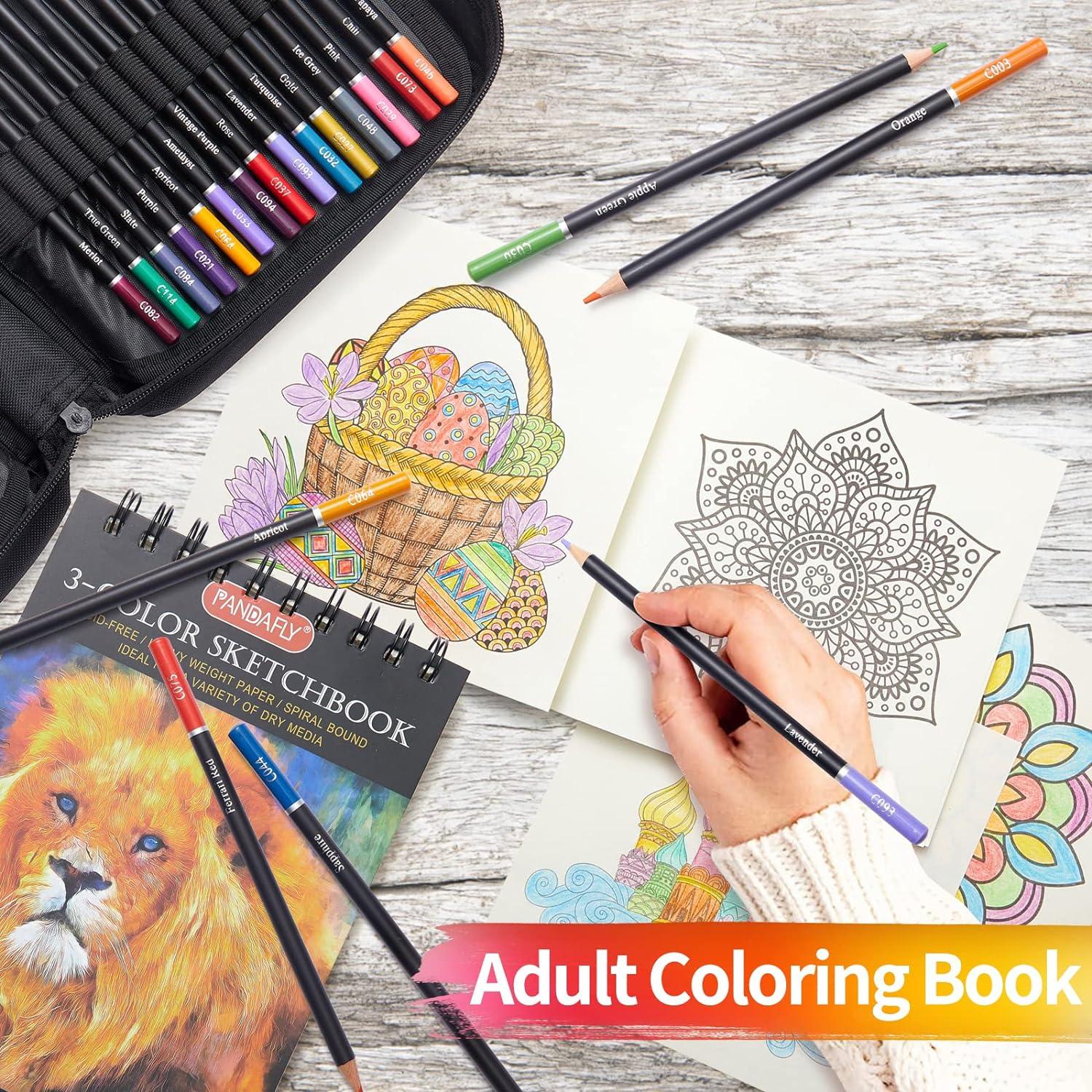 80 Pack Drawing Set Sketching Art 3-Color Sketchbook Watercolor Pad Adults  Kids