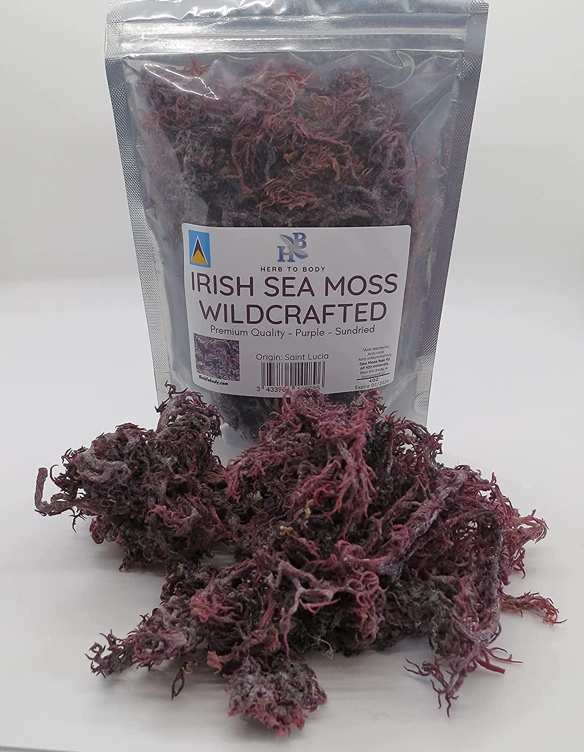 Saint Lucia Sea Moss: How it is Grown and Harvested