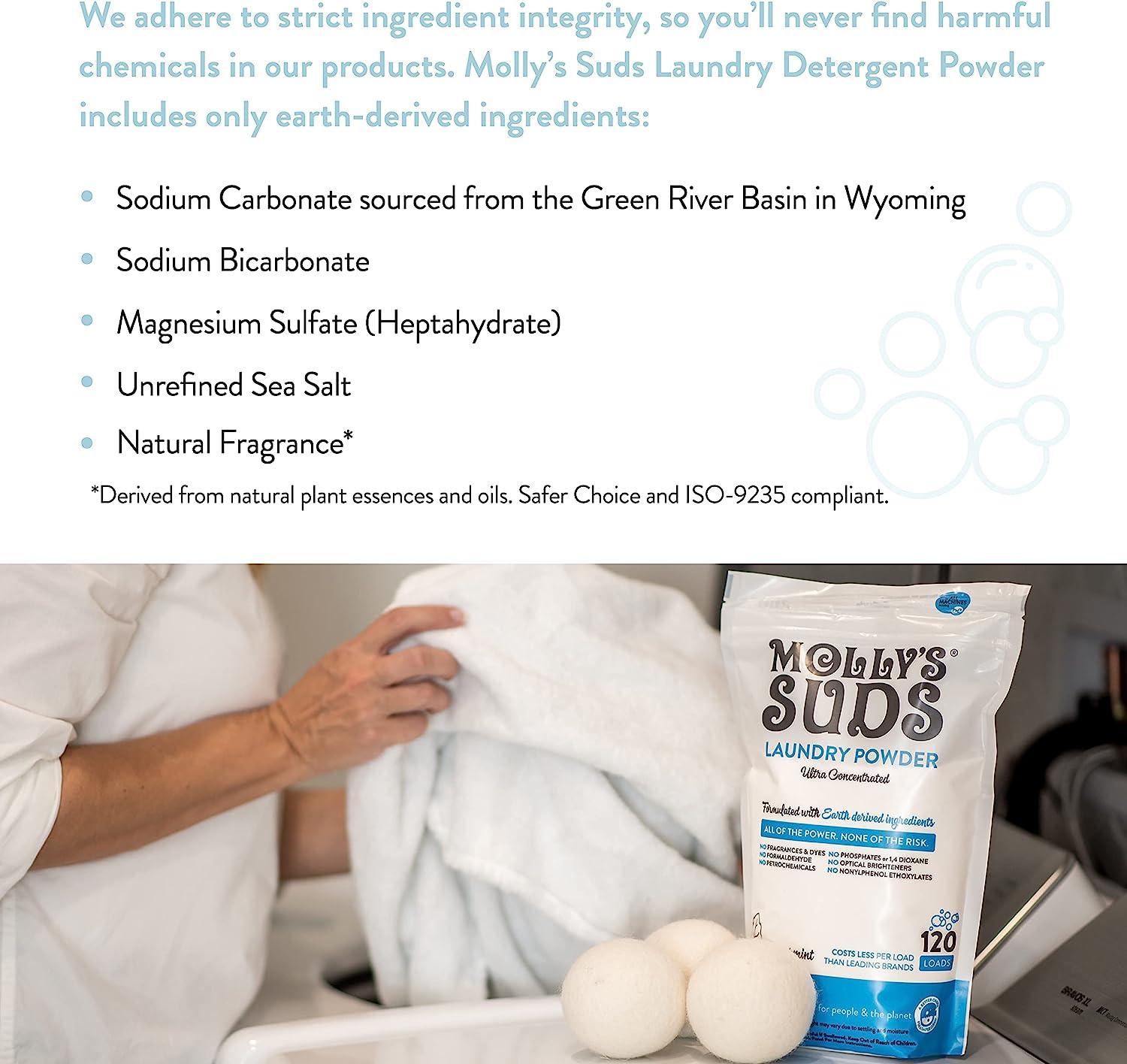 Review :: Molly's Suds Laundry Powder – Safe Household Cleaning