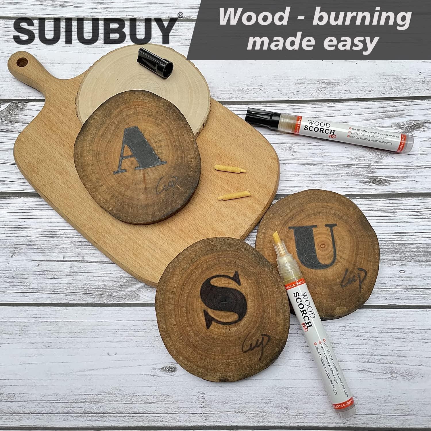 Testing Best Woods for Chemical Wood Burning — DIY Project Tutorials