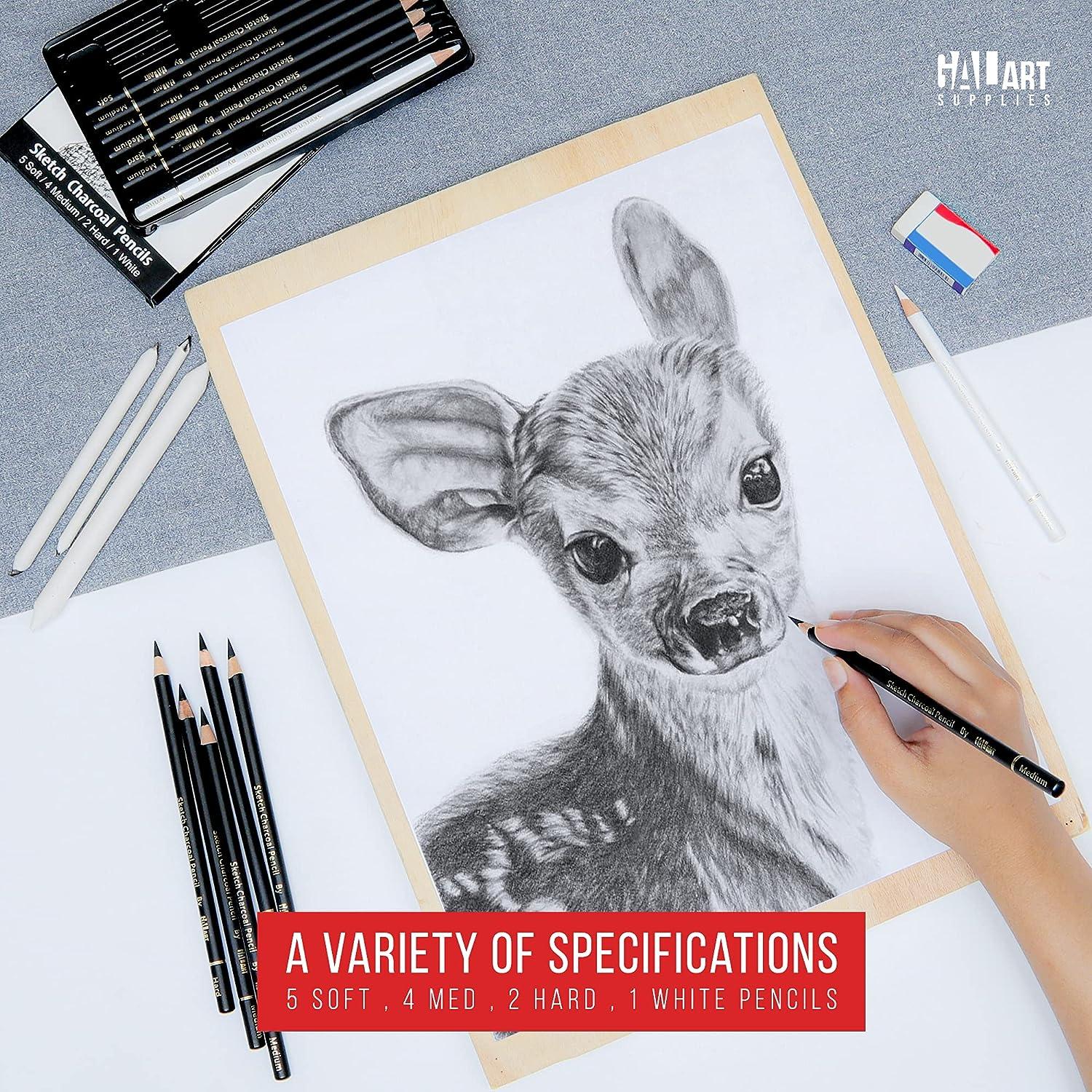 inspiration - charcoal drawing | Easy charcoal drawings, Charcoal drawing, Pencil  drawings for beginners