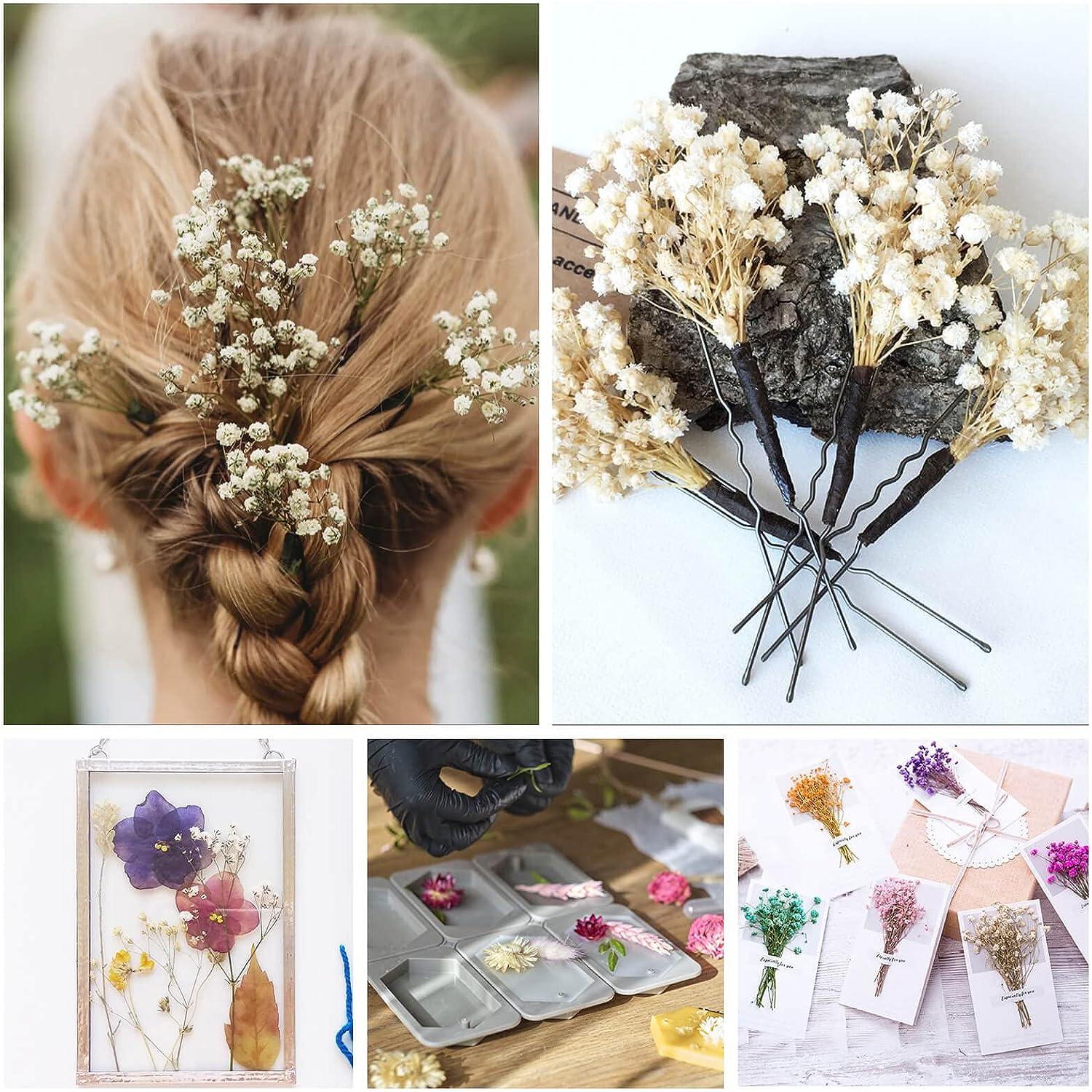 Dried Flowers Baby's Breath Bouquet - 3000+ Pure White Dried Babys