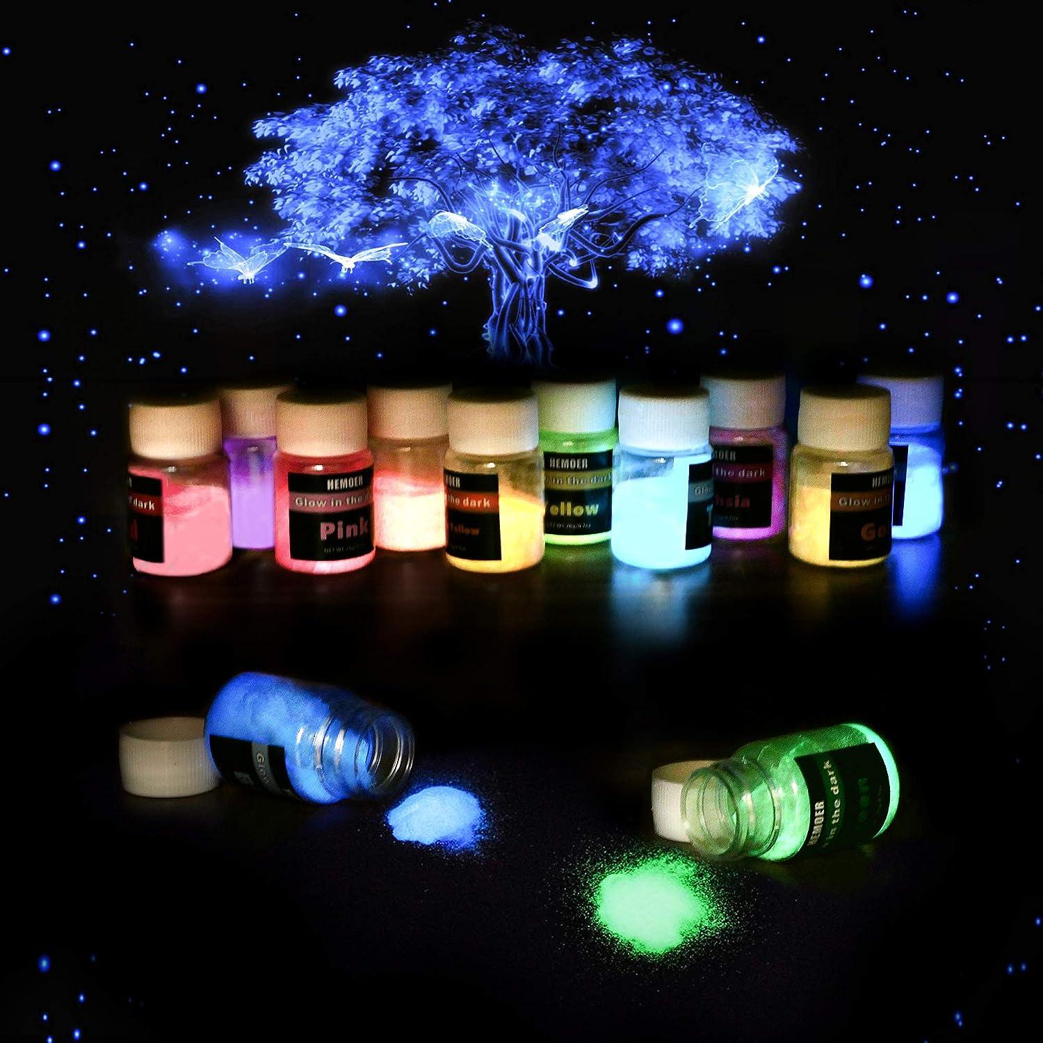 HEMOER 12 Colors Glow in The Dark Pigment Powder, 0.7oz/Bottle Luminous Mica Powder Perfect for Epoxy Resin Safe Non-Toxic