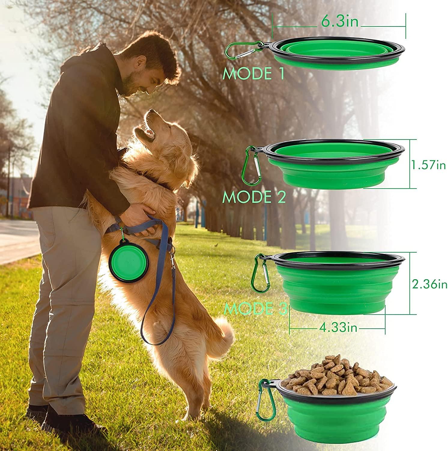 CE Compass Slow Feeder Dog Bowl, Anti-Gulping Dog Puzzle Bowl, Anti-Choke  Non Slip Fun Feeder Bowl Bloat Stop - 300ML (10oz) Red