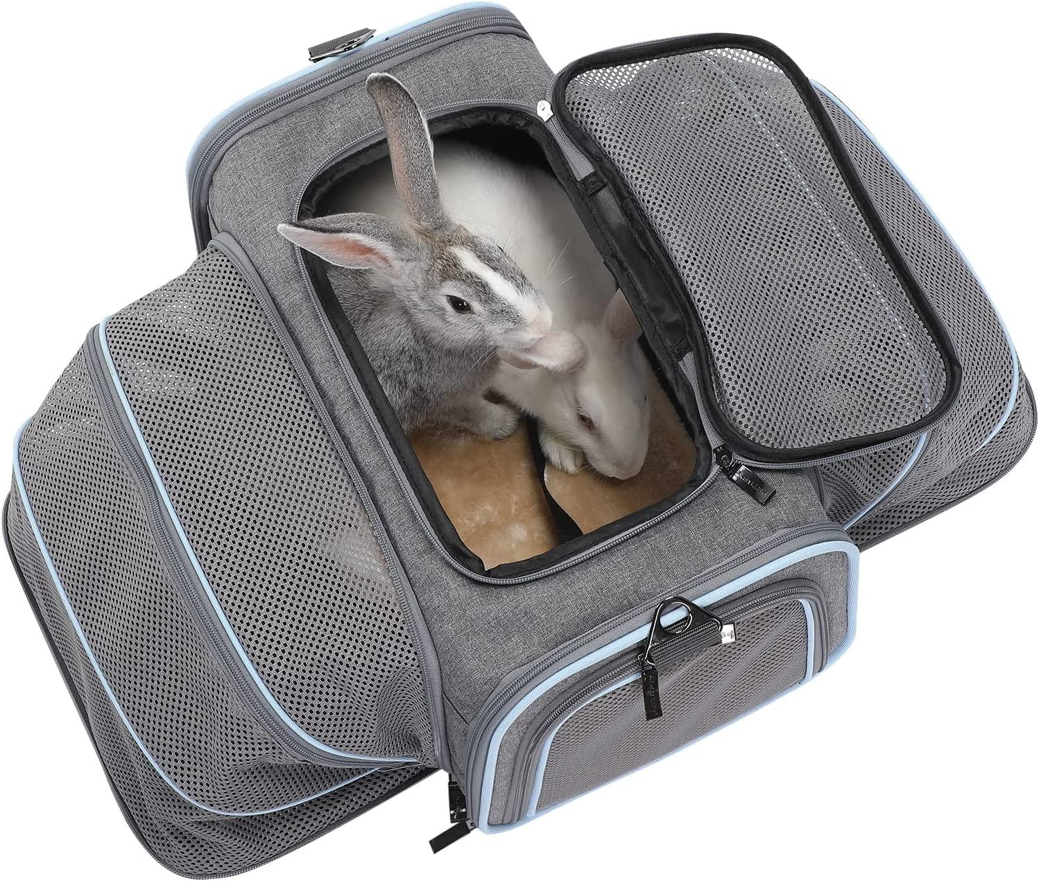 Airline Approved Cat Carrier for Small Dogs,Expandable Pet Carrier