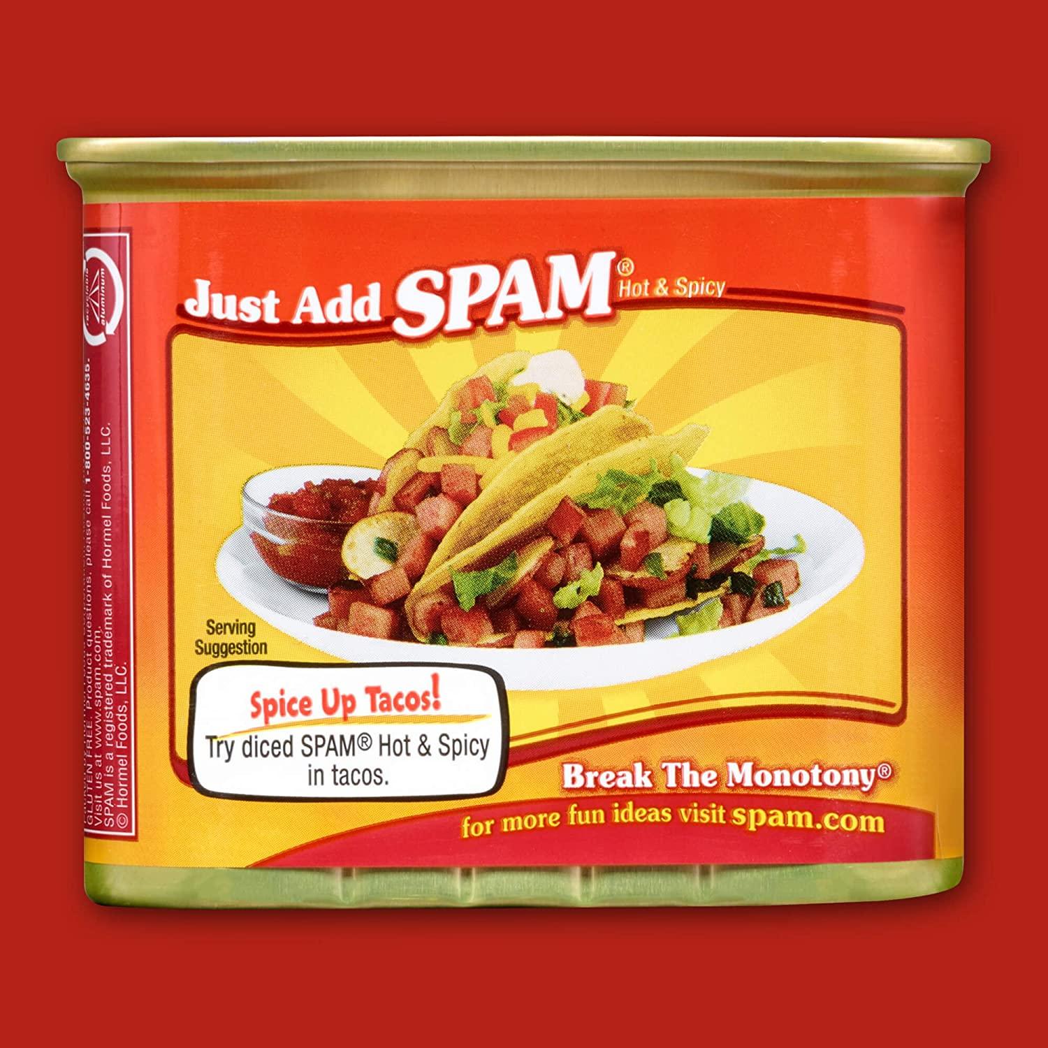 Spam Maple Flavored, Pack of 6, 12 Ounce Cans, Luncheon Meat Can, Hormel  Foods, Spam Musubi, Canned Meat, Fully Cooked Pork with Ham, Bundles,  Variety