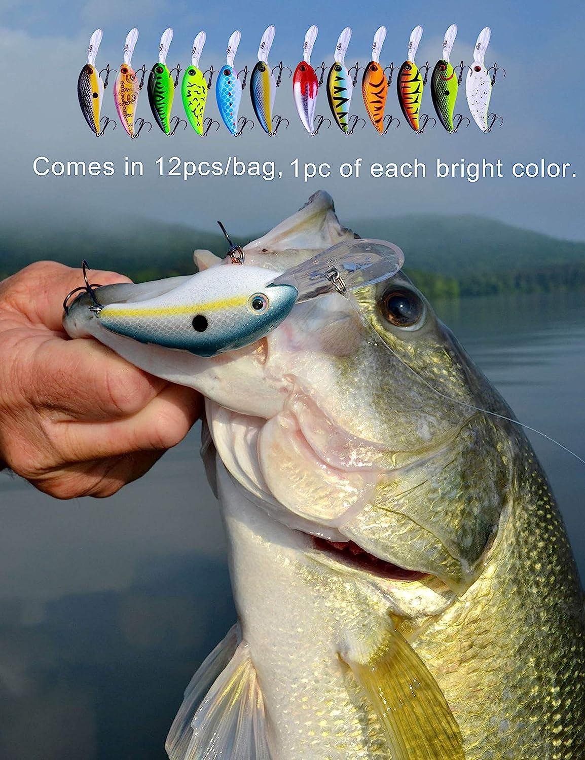  NUOMI Crankbait Fishing Lures Bass Hard Topwater  Panfish/Crappie Lure Hooks Artificial Baits 5 Pieces Mini Fishing Tackle :  Sports & Outdoors