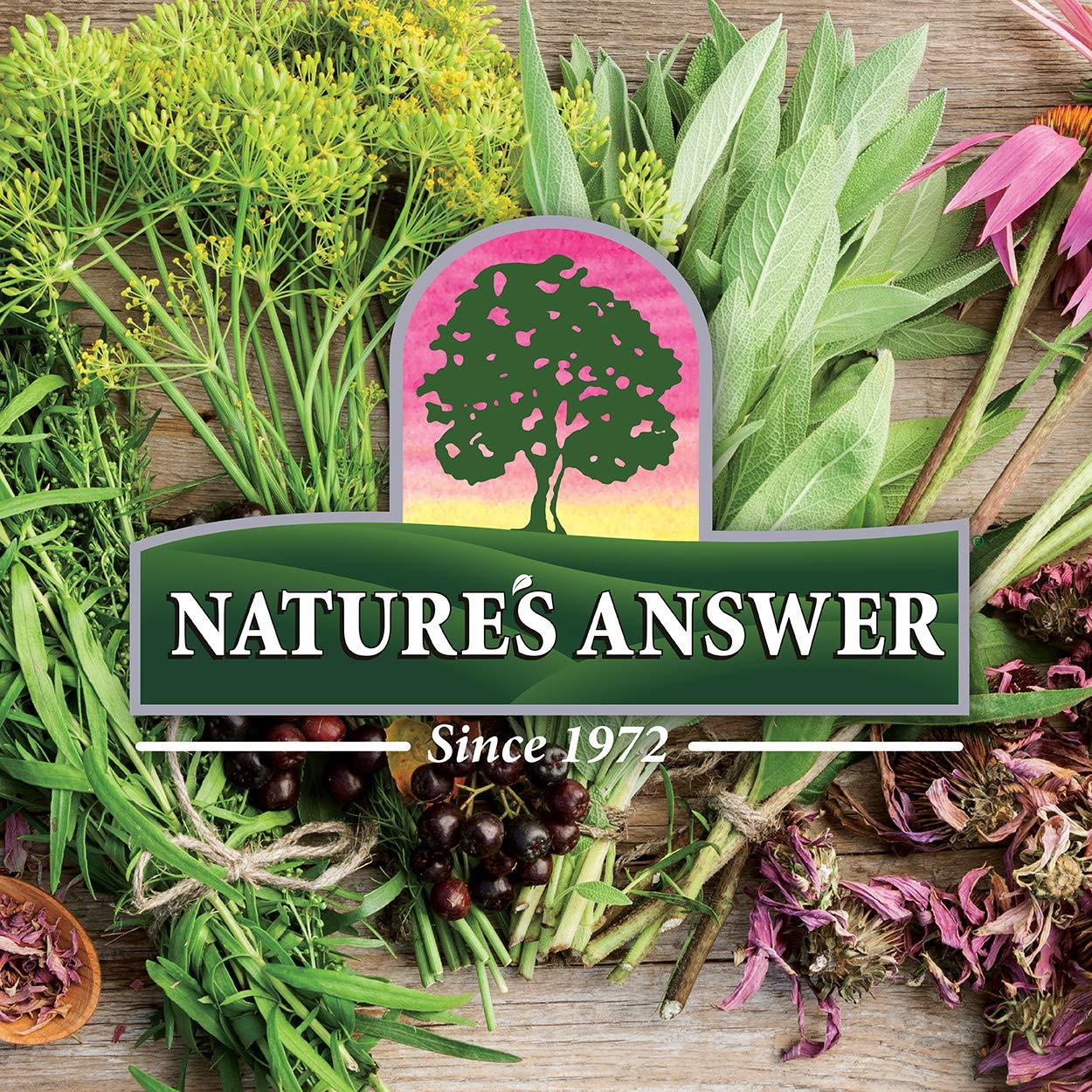 Nature's Answer 100% Pure Organic Essential Oil Blend, 0.5-Ounce,  Vanilla/Cinnamon