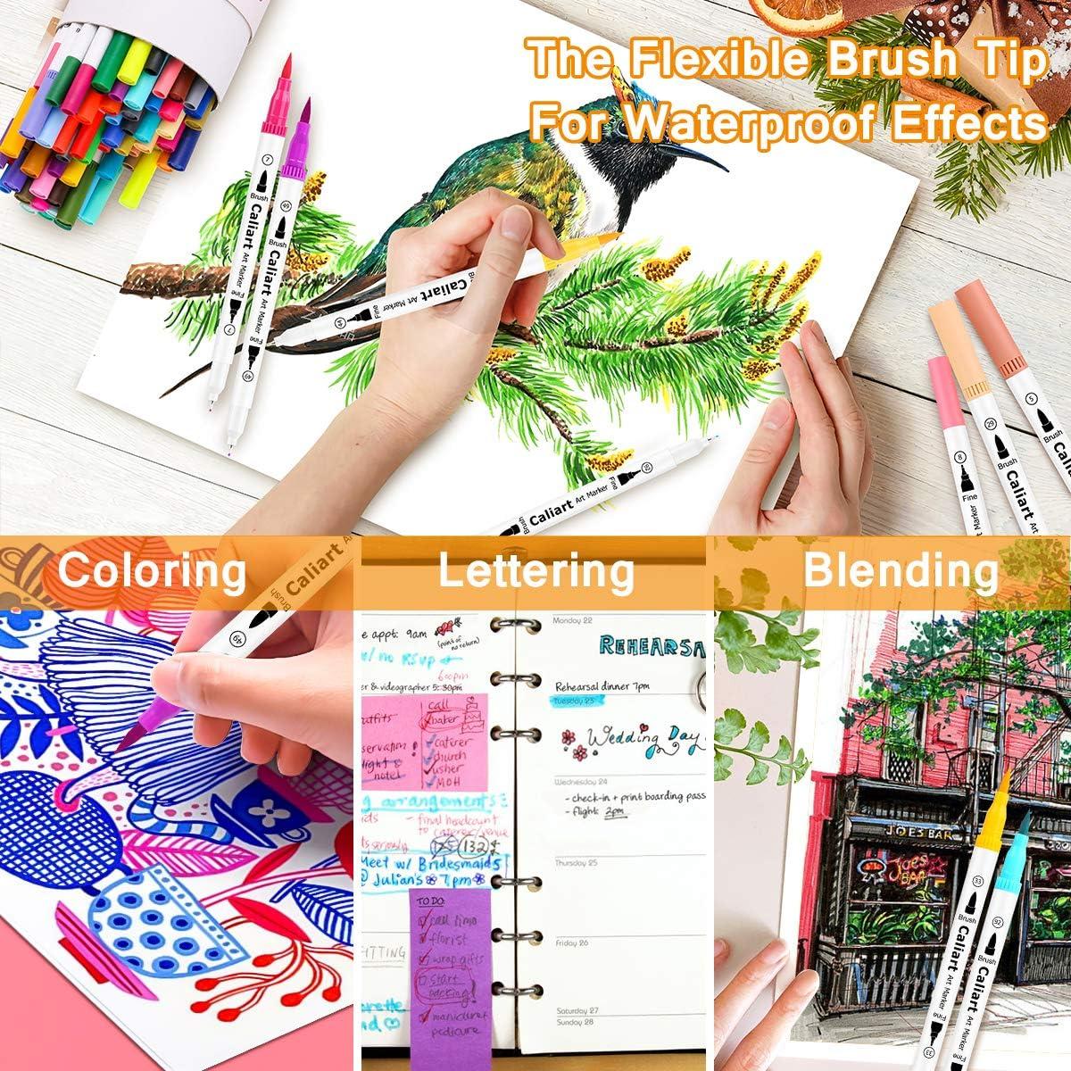  Dual Brush Markers for Adult Coloring Books, 24 Colored  Journal Planner Pens Fine Point Marker for Art School Office Supplies  Bullet Journaling Note Taking Drawing : Arts, Crafts & Sewing
