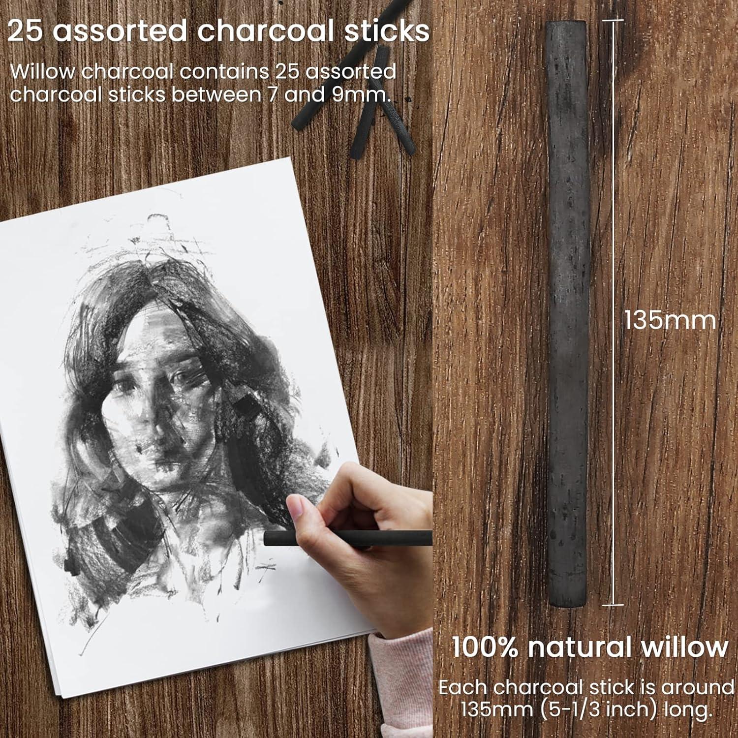 LOONENG Willow Charcoal Sticks, Natural Willow Charcoal for Artists,  Beginners, or Students of All Skill Levels, Great for Sketching, Drawing,  and