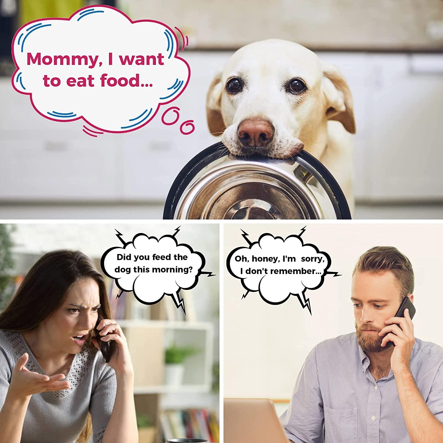 Pet Supplies : DID YOU FEED THE DOG? - Dog Feeding Reminder, The